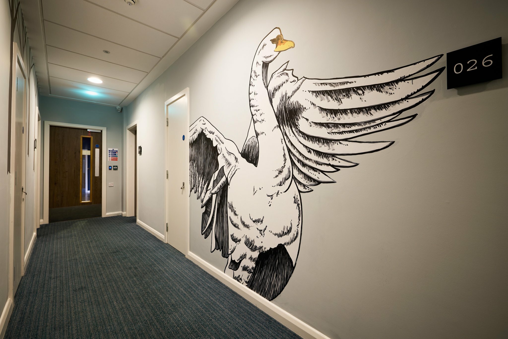 Фото The niu Loom