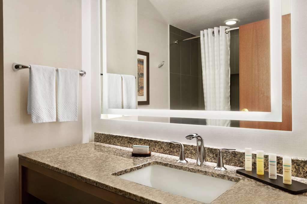 Фото Embassy Suites by Hilton Dallas Dfw Airport North