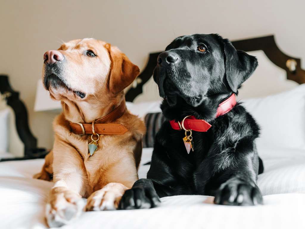 Фото Fairmont Hotel Vancouver