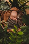 Hello new baby (Yubileynaya ulitsa, 18), photography