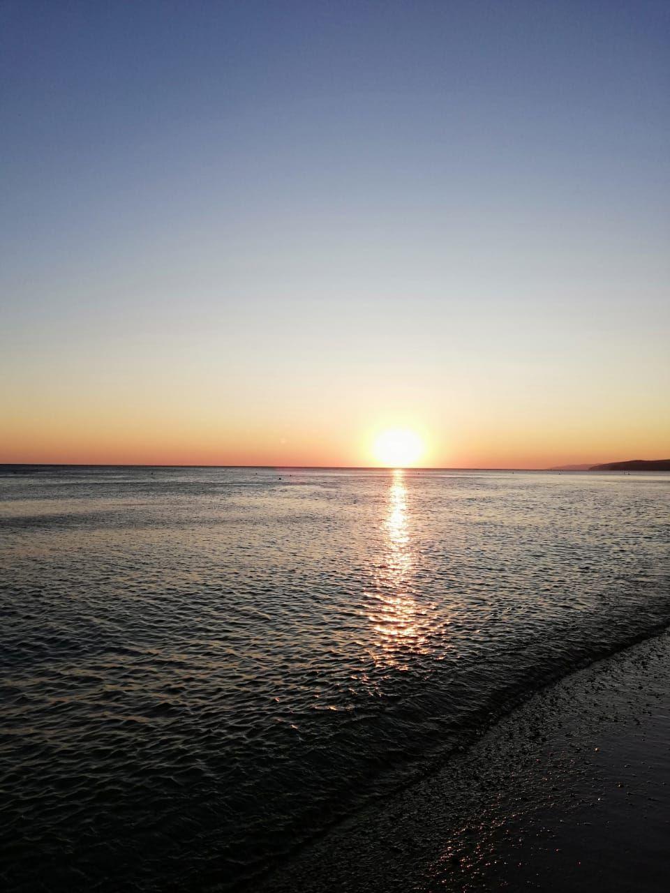 Фото Forest Club