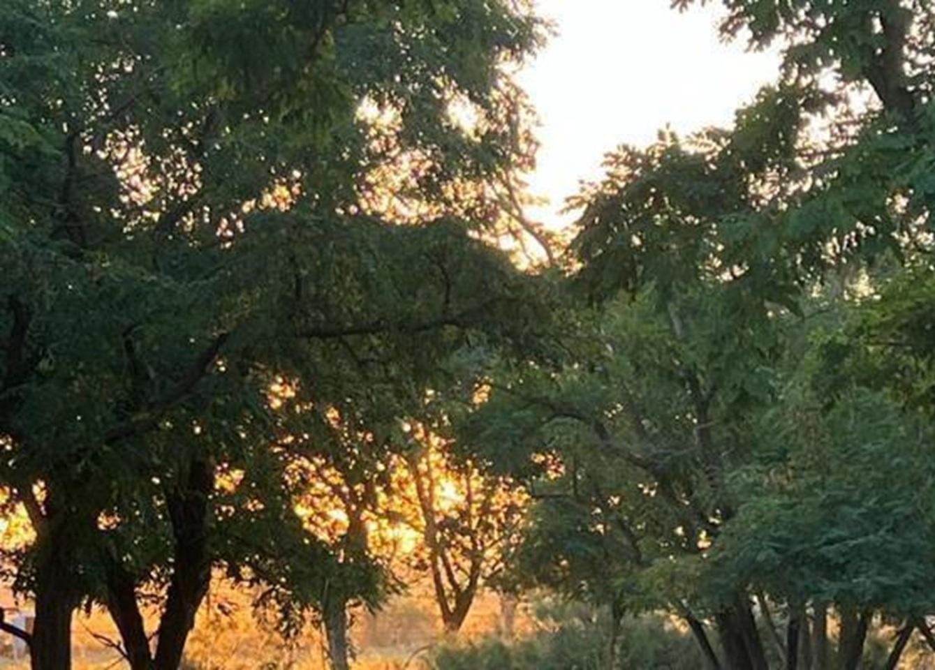 Фото Домики у моря Ля мэр