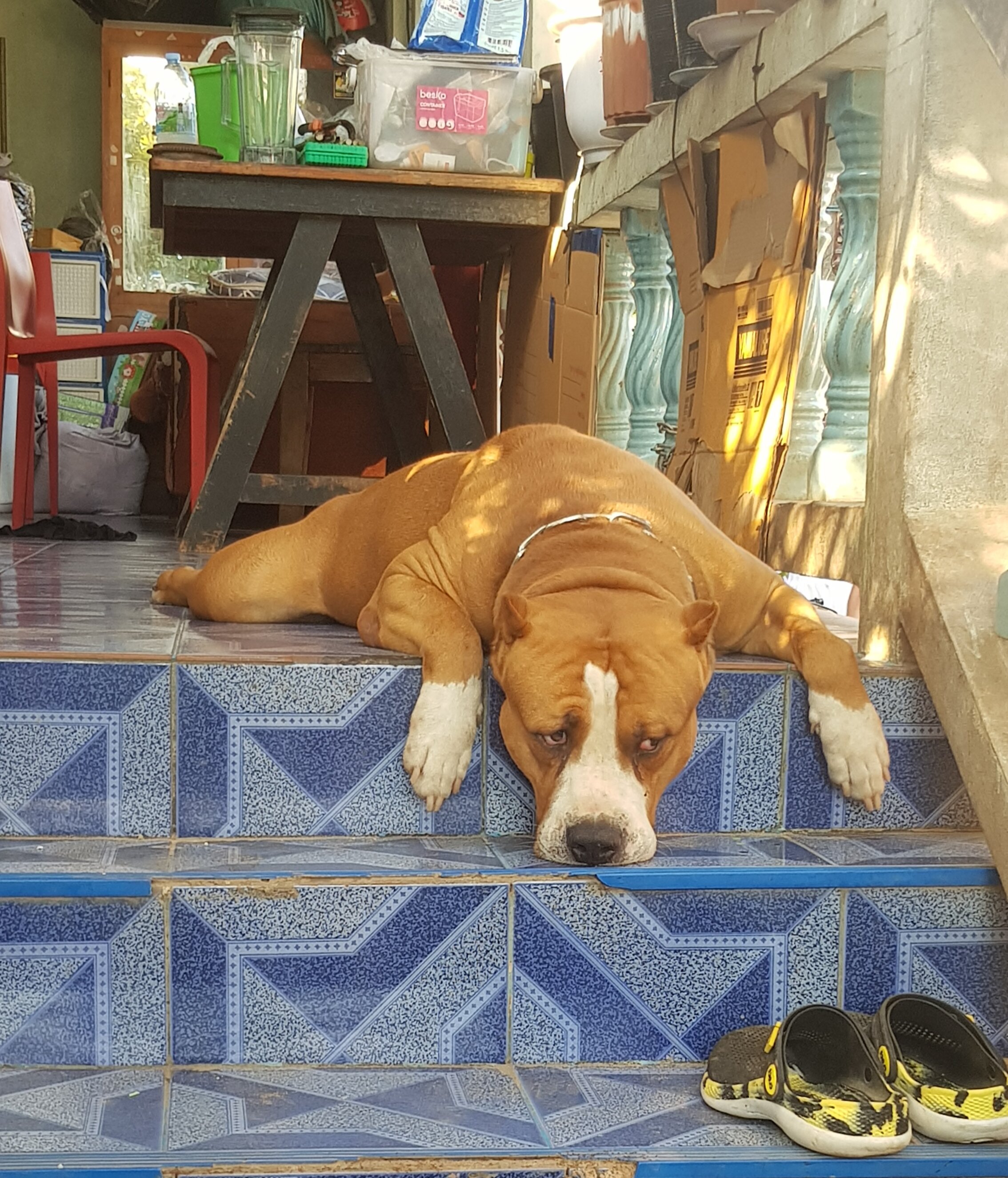 Фото Lantana Pattaya Hotel & Resort