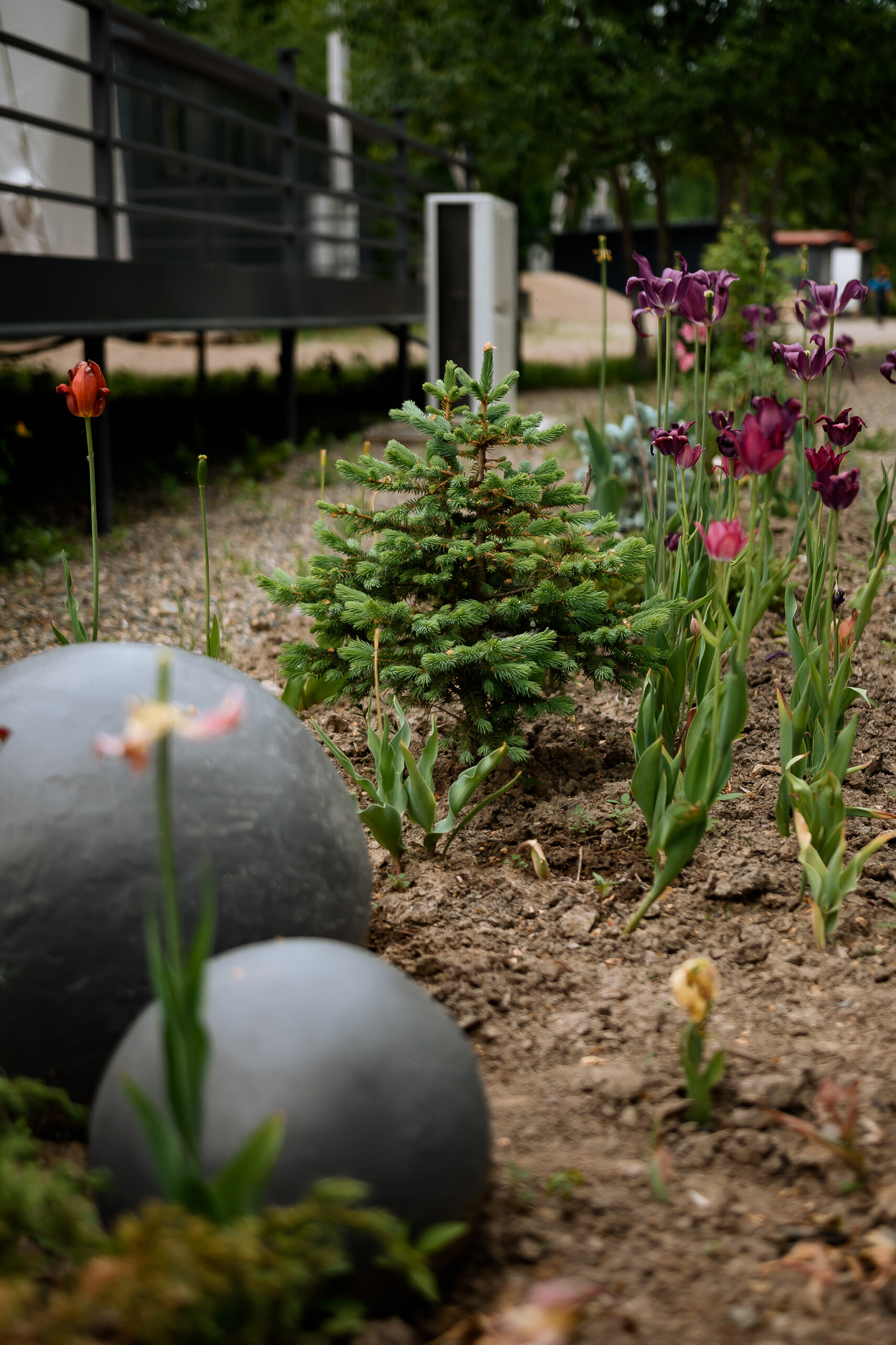 Фото Заимка Узалы