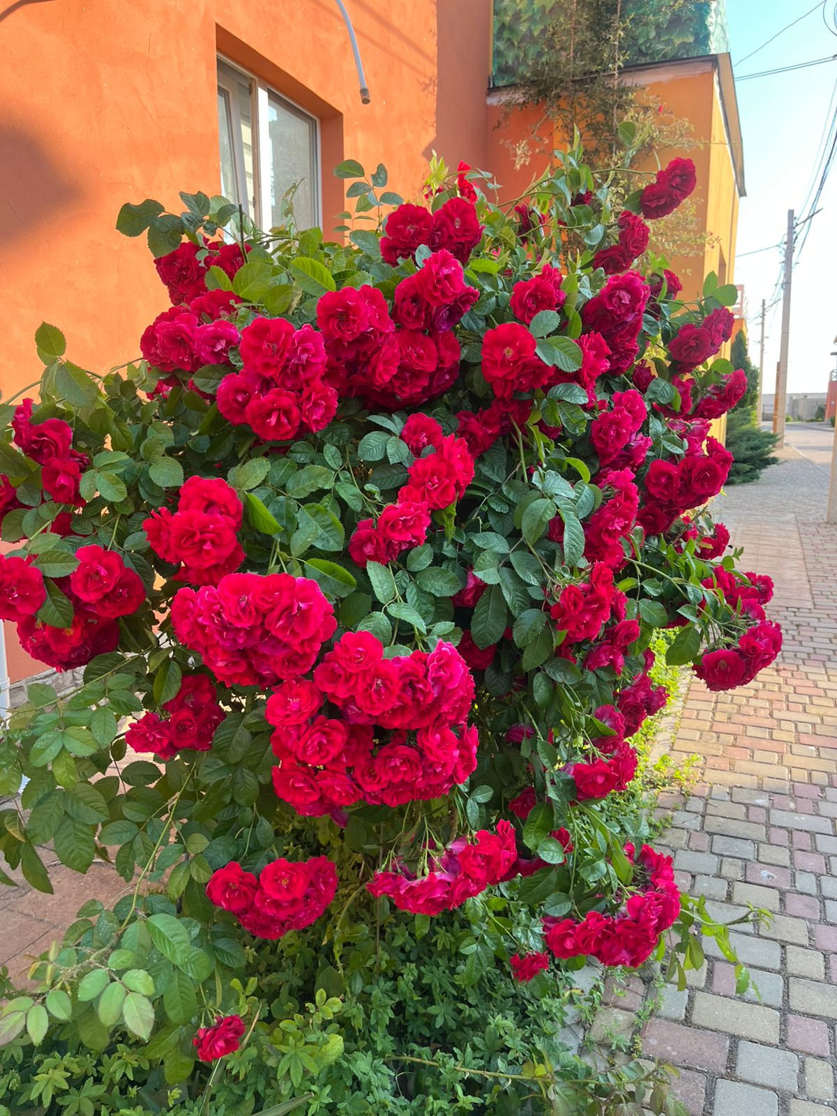 Фото Апартаменты в Бухте Круглой