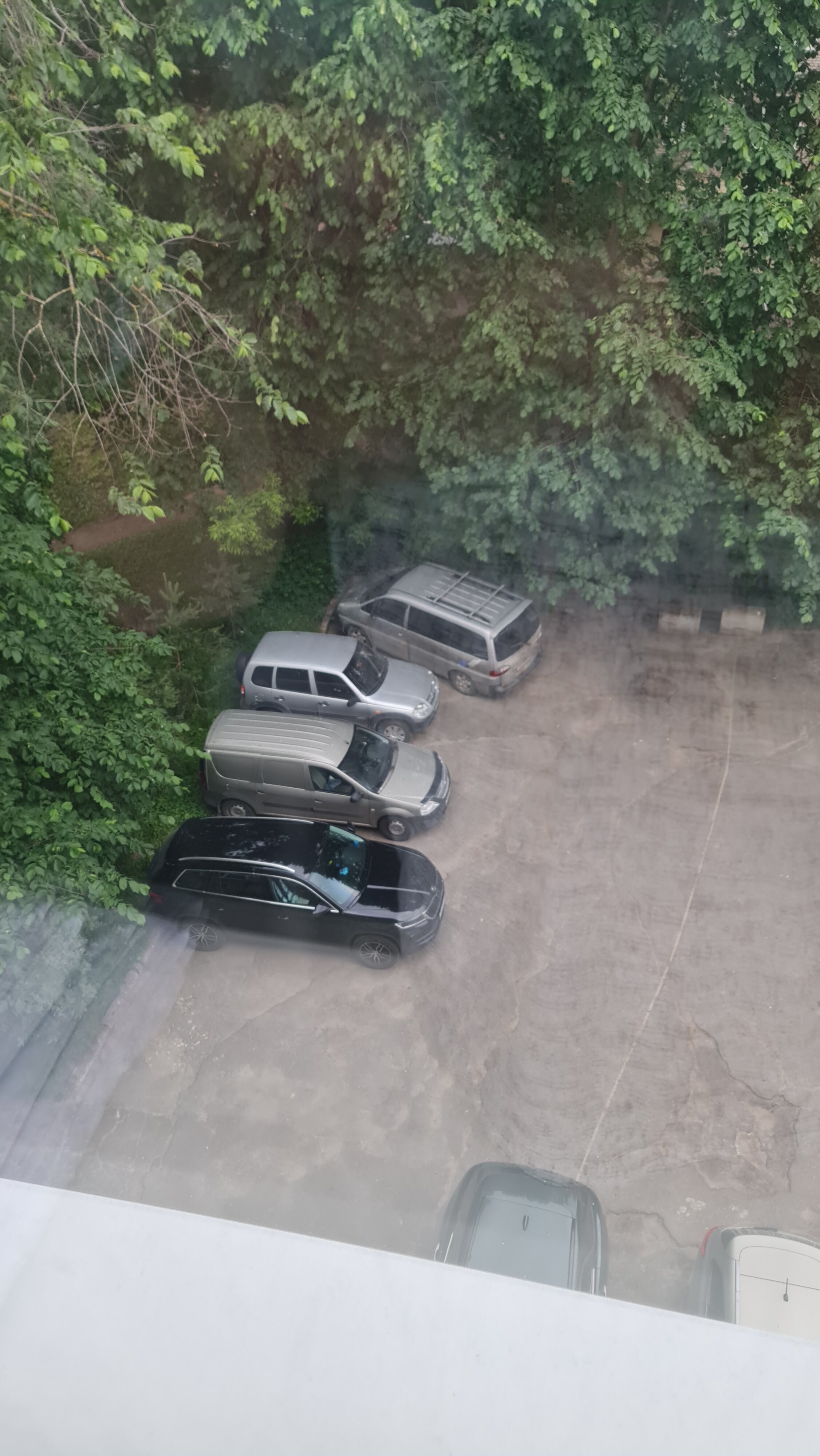 Фото Неревский