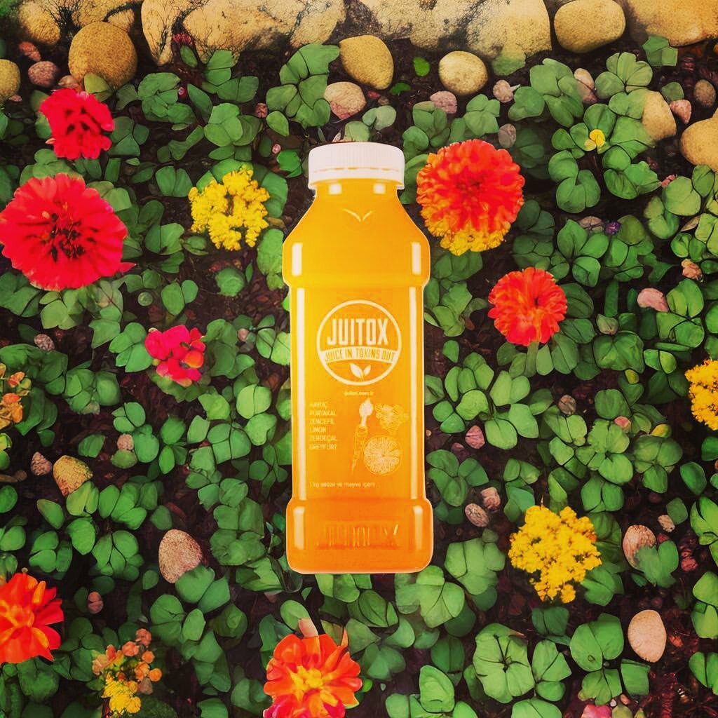 Non-alcoholic beverages Juitox, Istanbul, photo