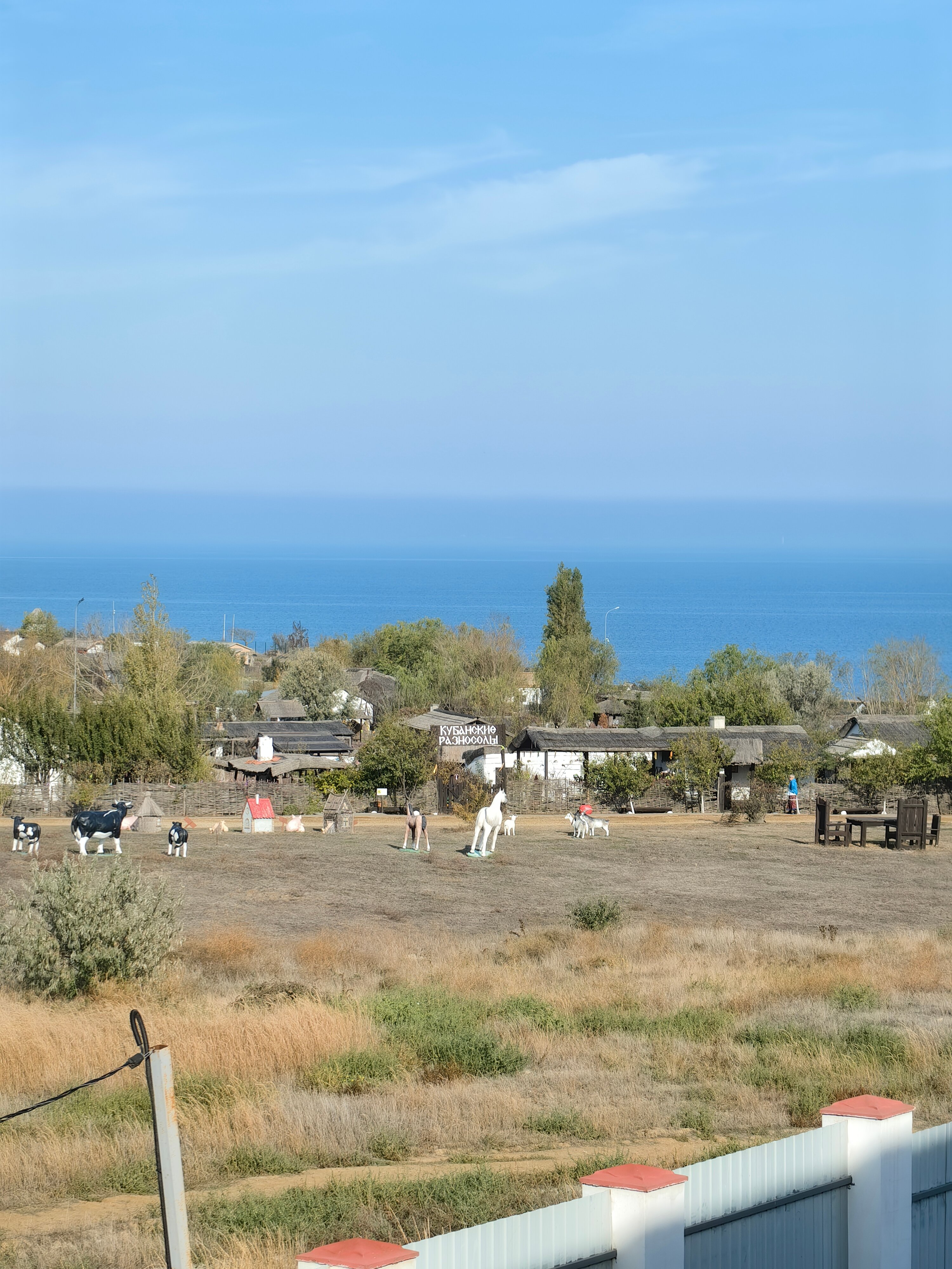 Фото Фортуна