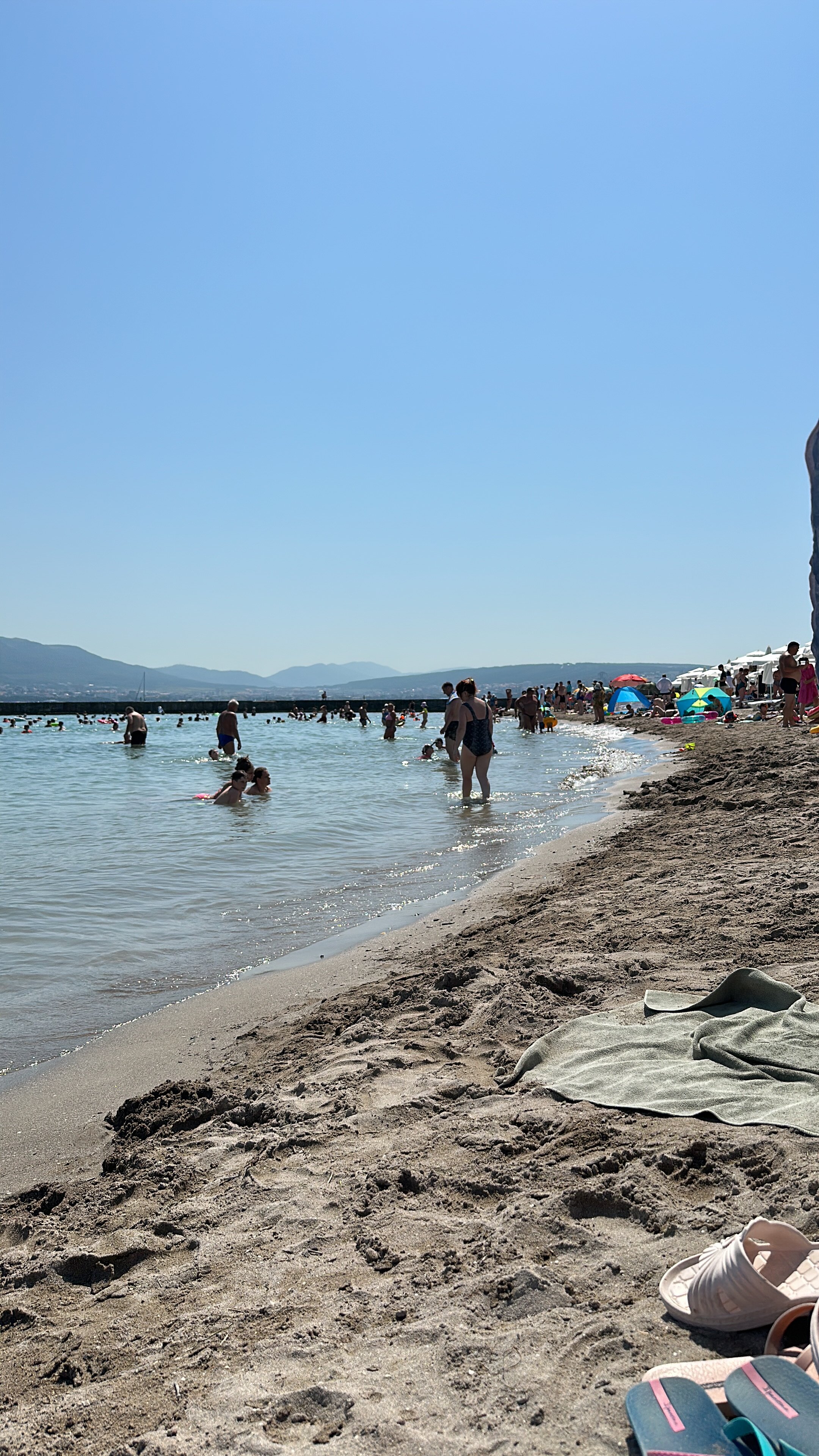 Фото Яблоко