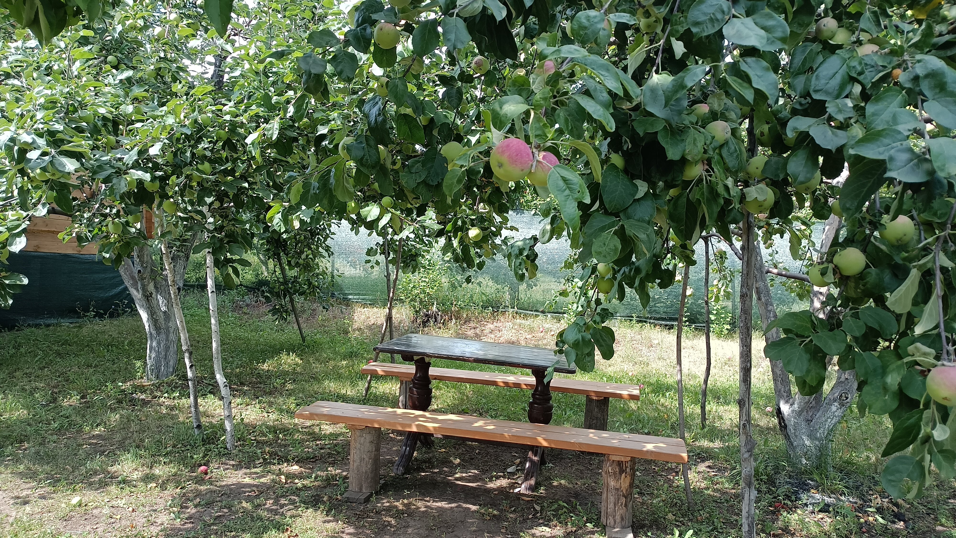 Фото Дом Жар-Птицы