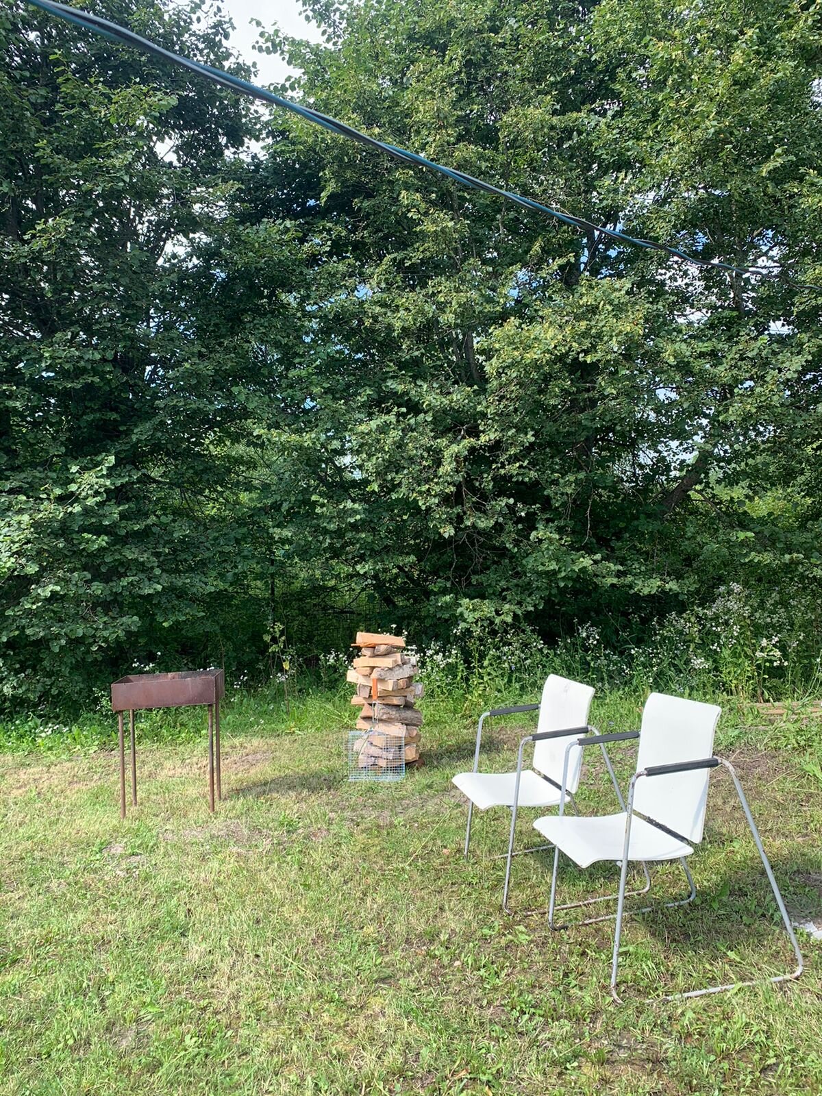 Фото Липовая аллея