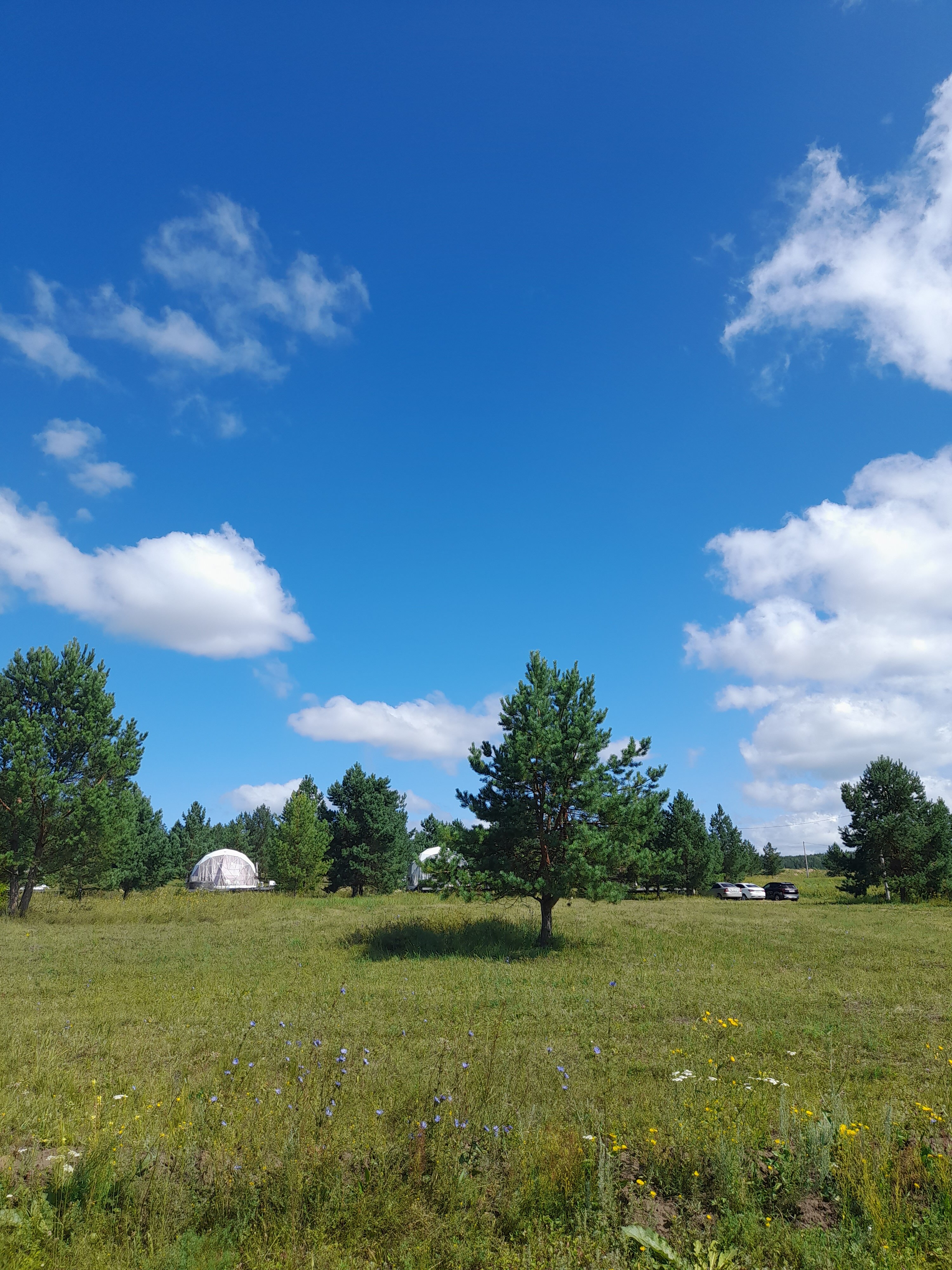 Фото Глэмпберри