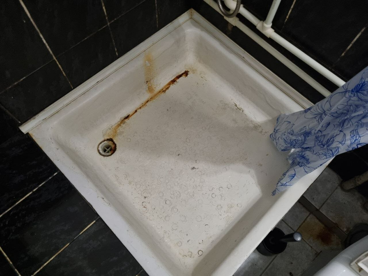 Фото Колосок