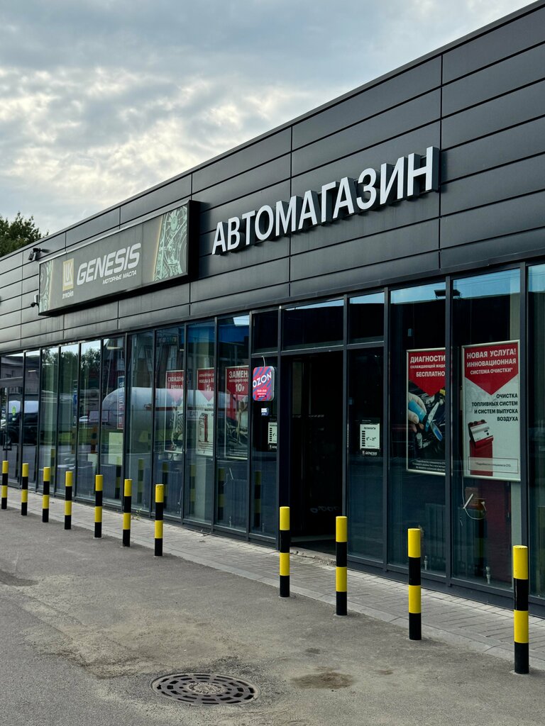Car service, auto repair Genesis, Kazan, photo