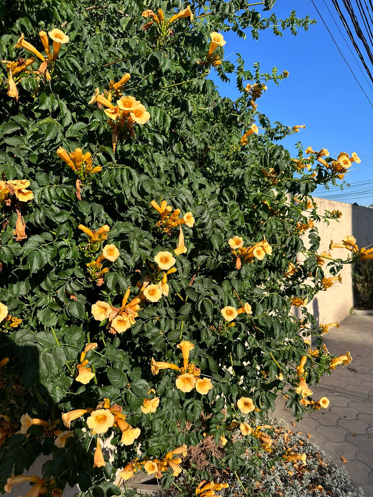 Фото Христофор