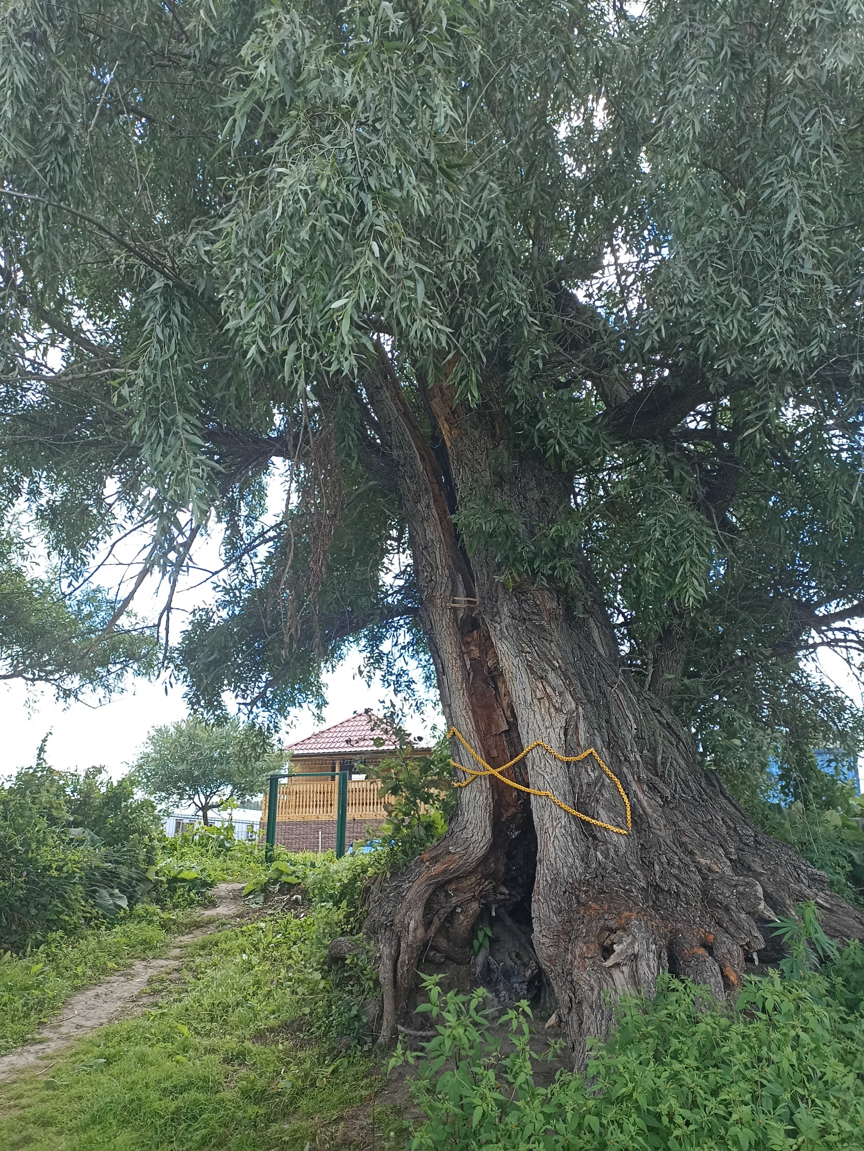 Фото Согринский берег