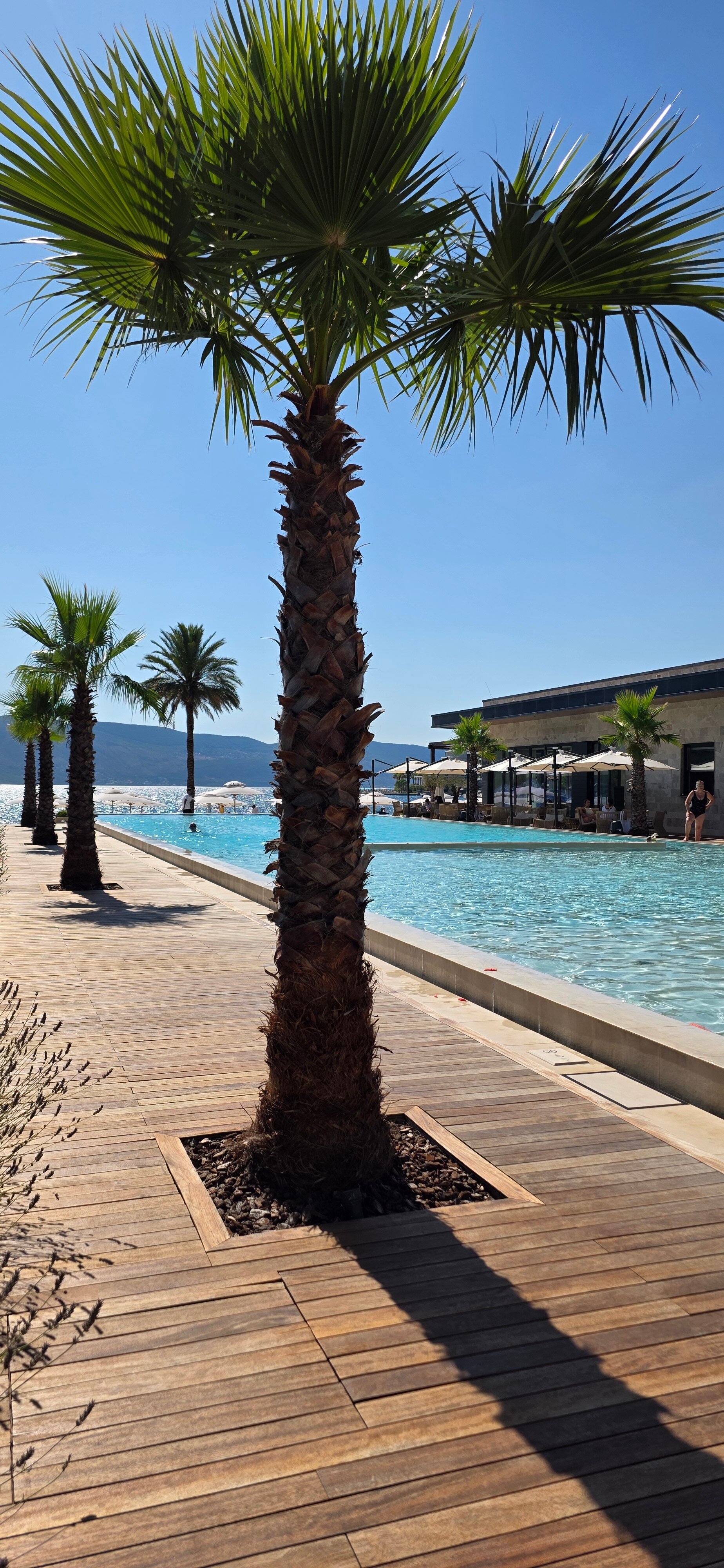 Фото One&Only Portonovi