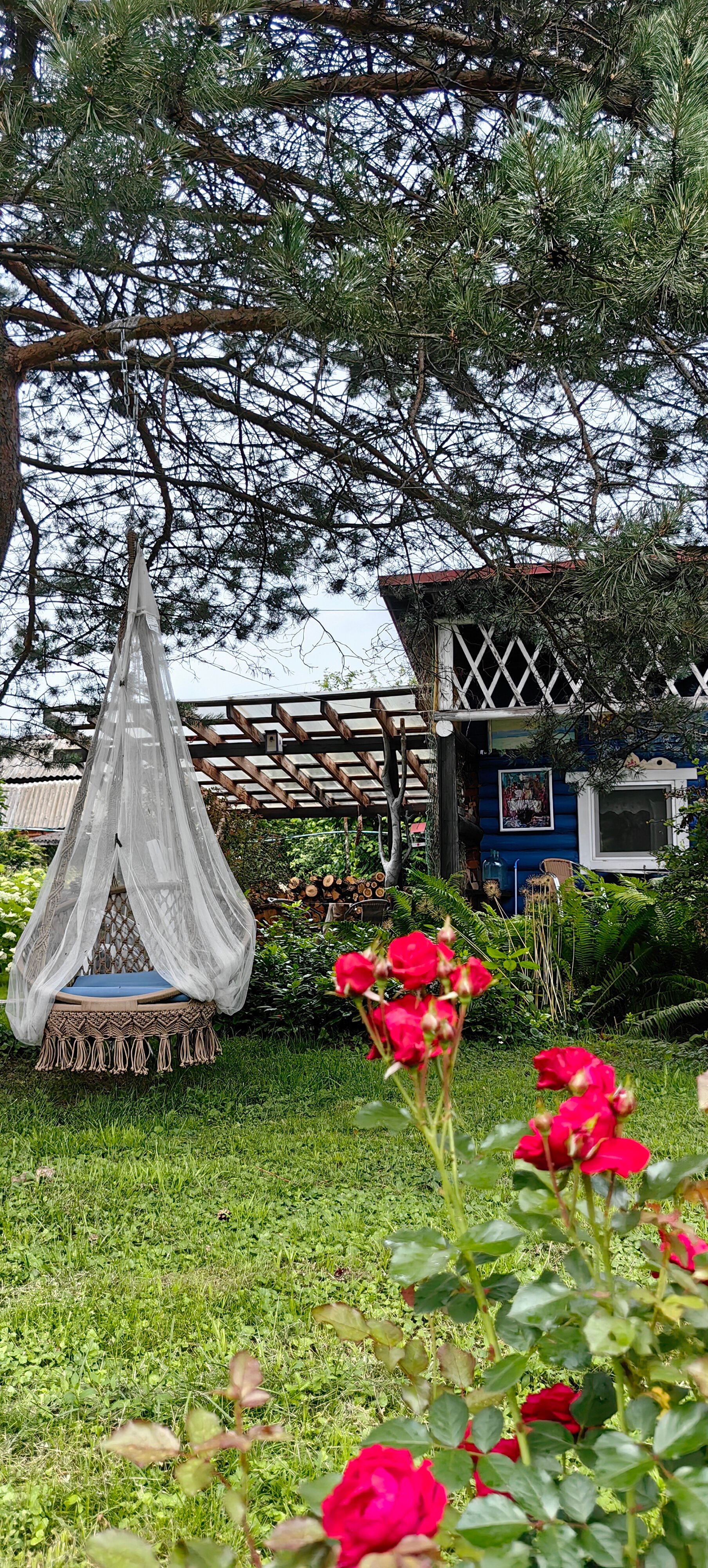 Фото Лавандовый сад