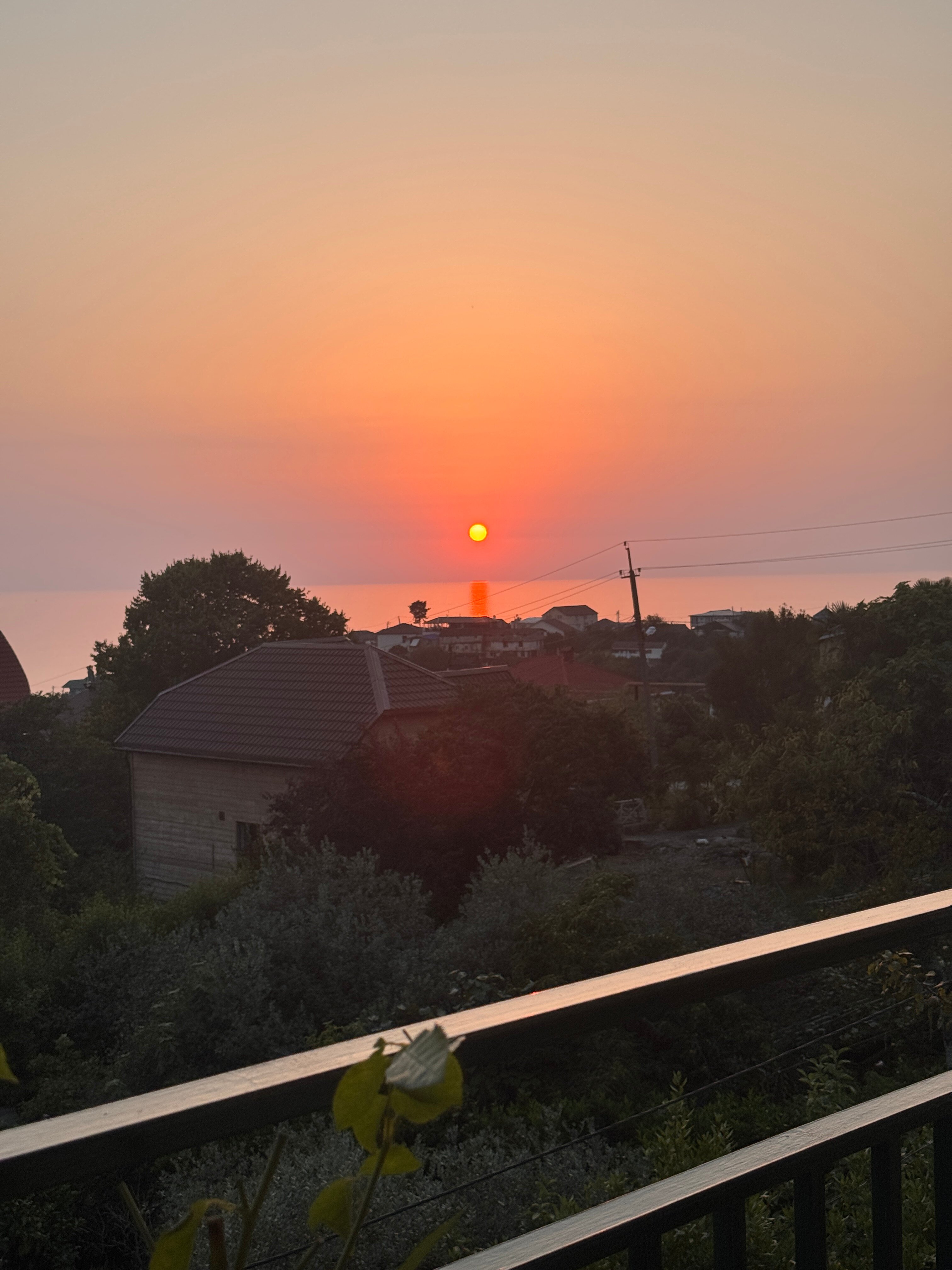 Фото Фундук