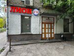 Lion (Kavaleriyskaya Street, 17), grocery