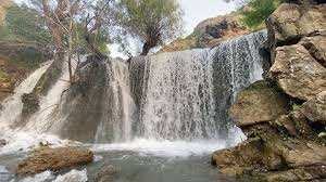 Mikro bikini kiygan qizlar video