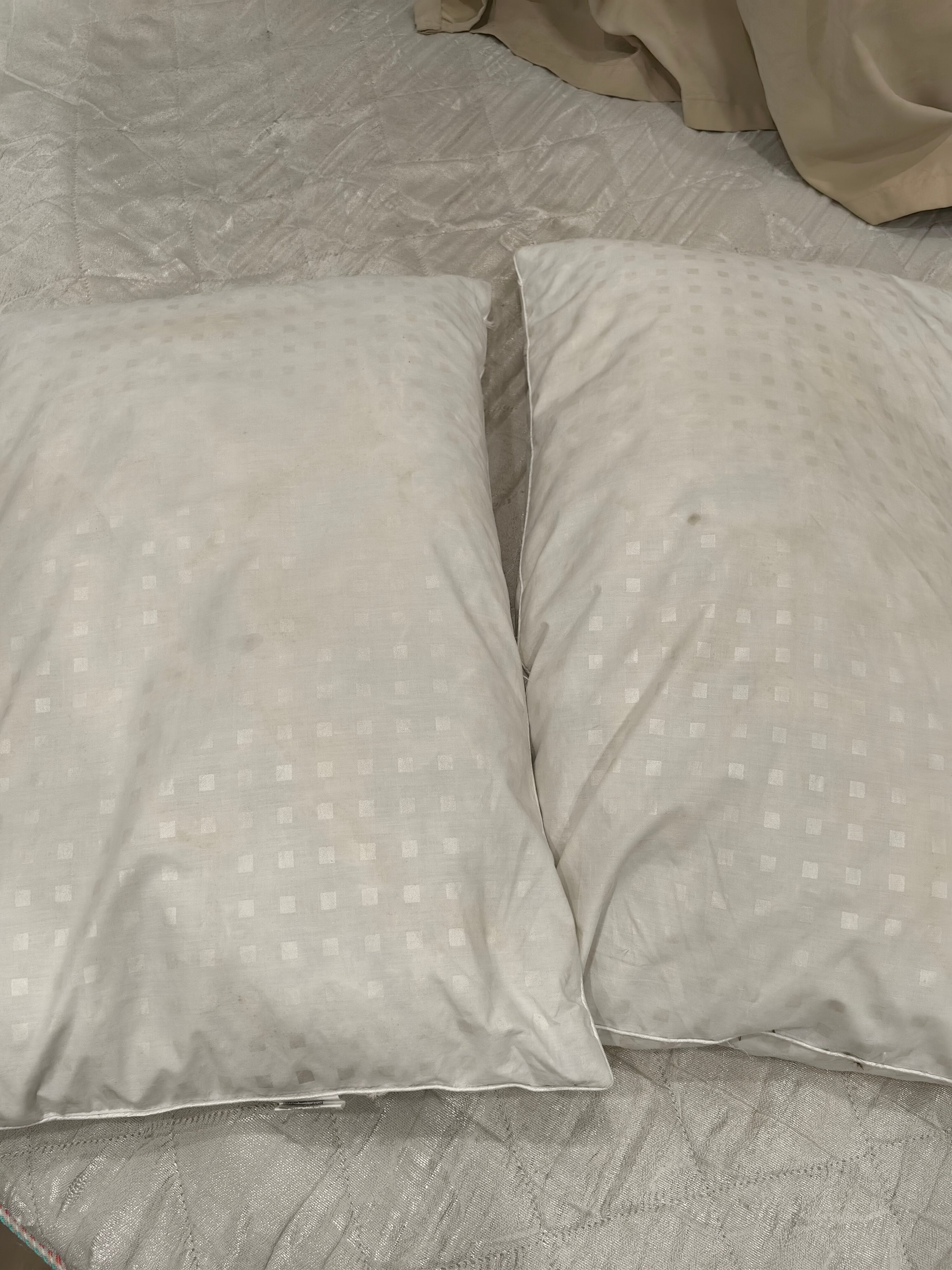 Фото Мой Питер