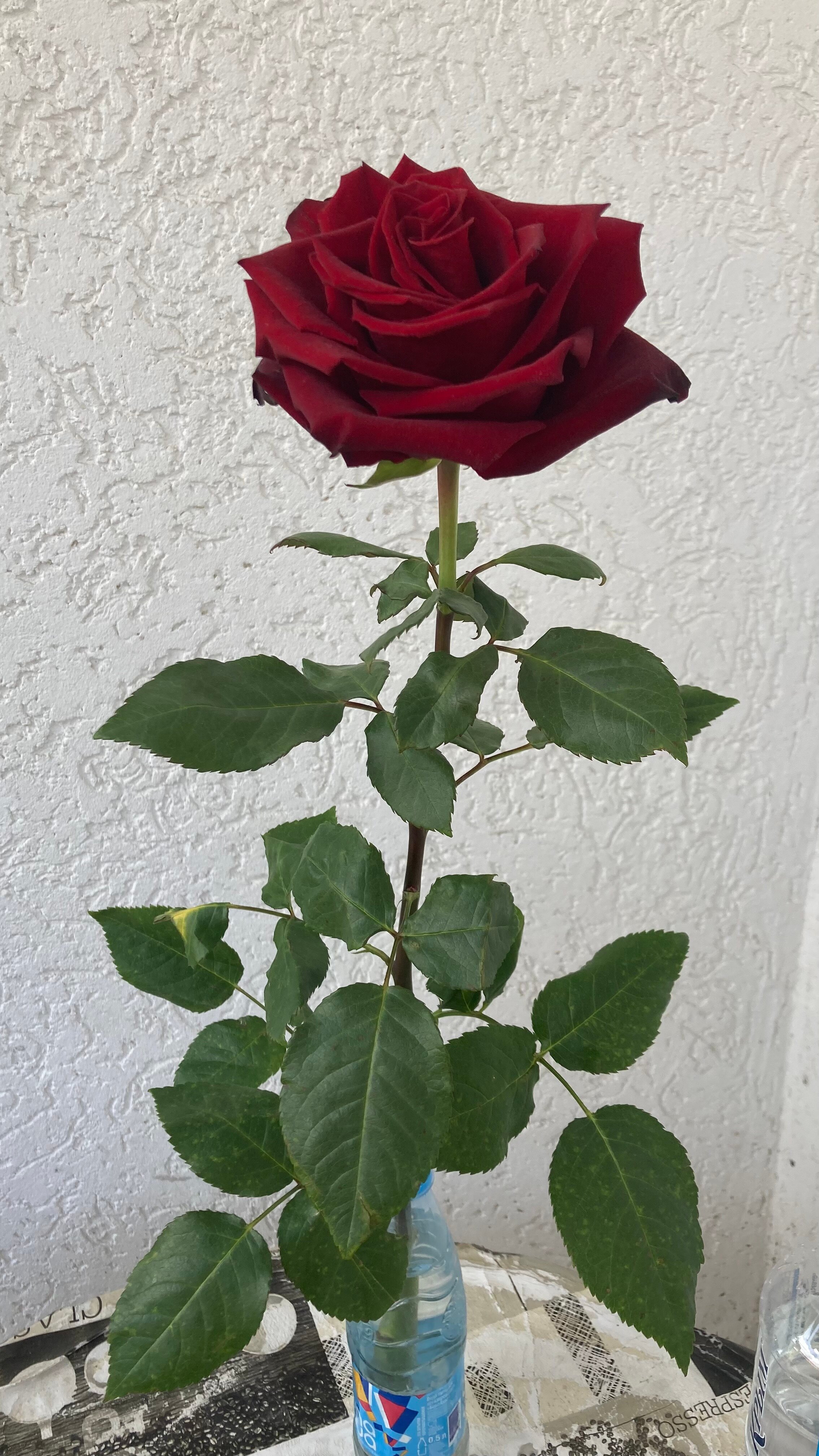 Фото Райская Лагуна