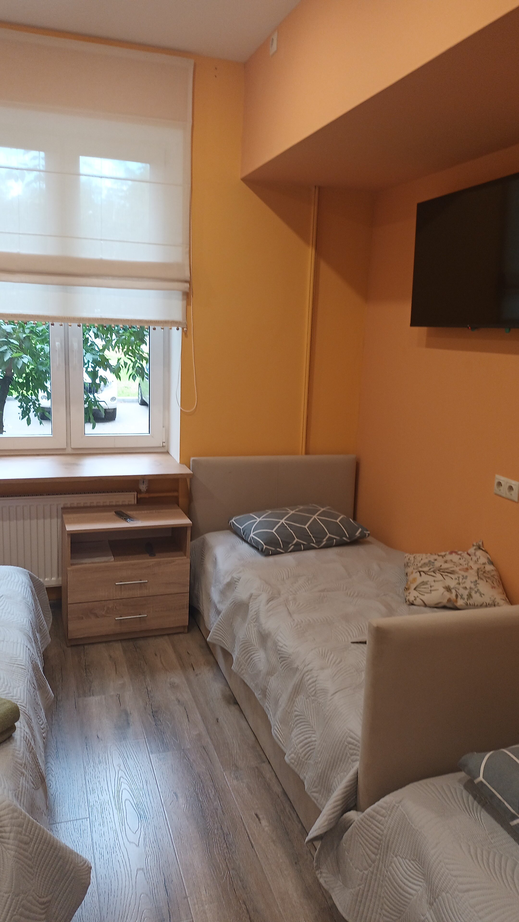 Фото Улитка