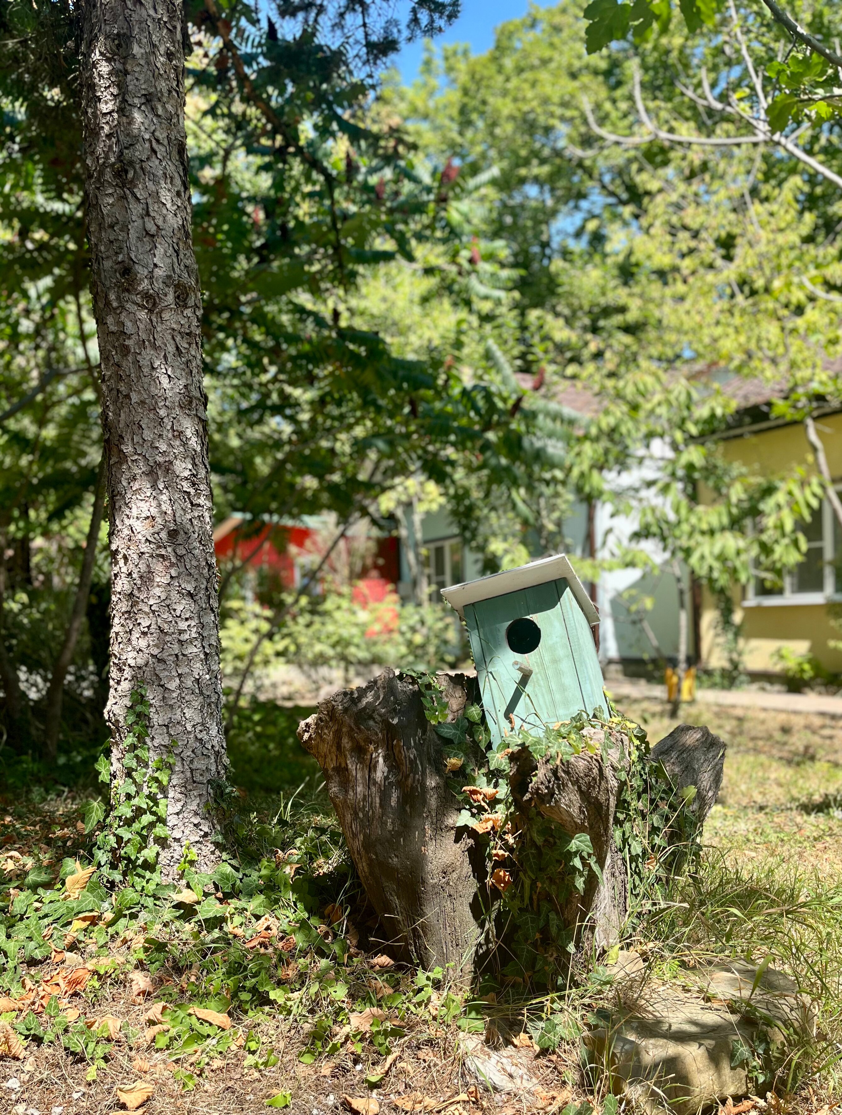 Фото Бирюза-Юг