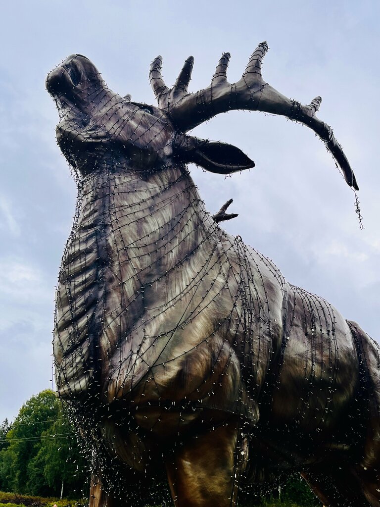 Ескерткіш, мүсін Скульптура Лось, Карелия Республикасы, фото