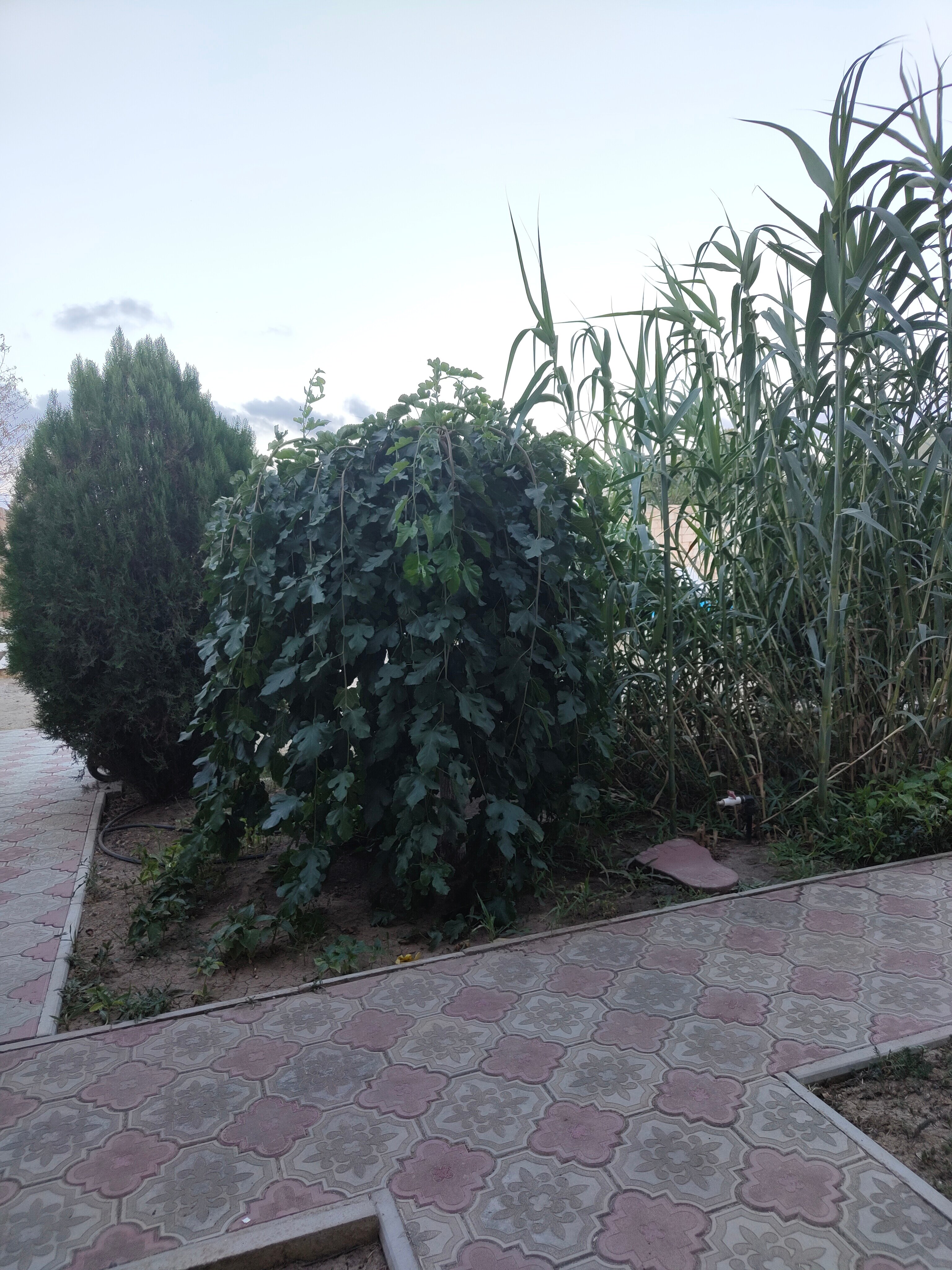 Фото Сахалин