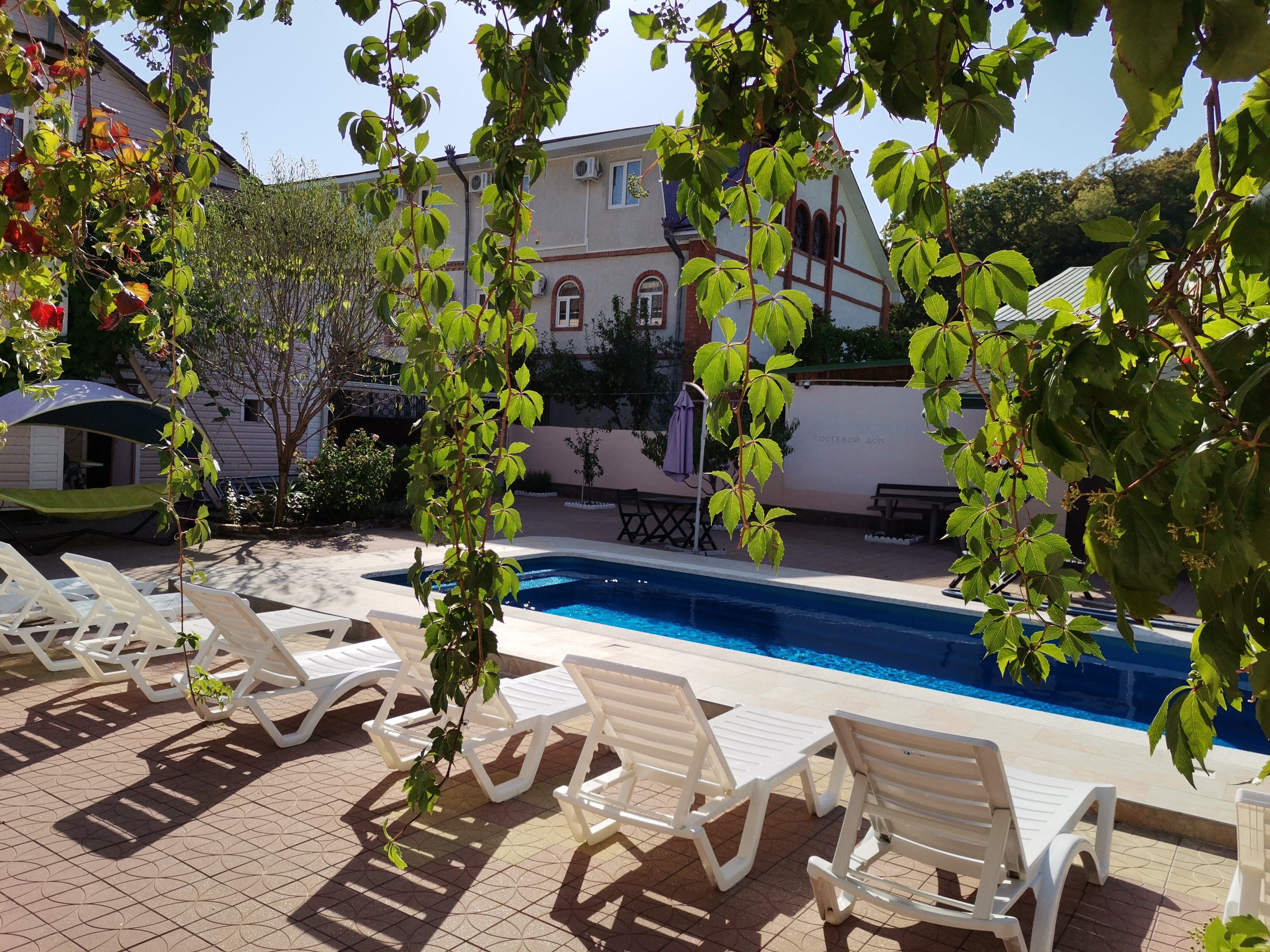 Фото У Петровича