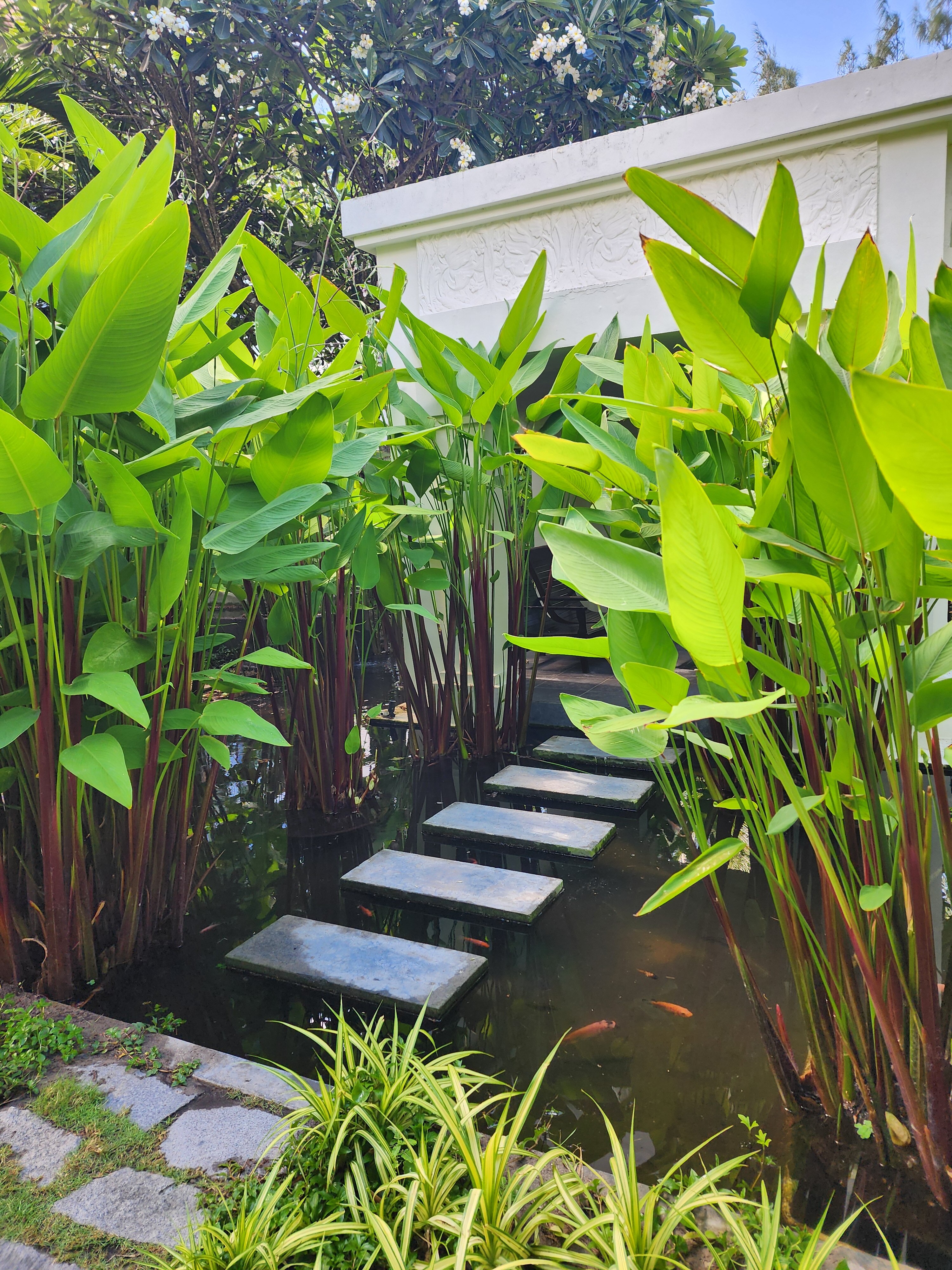 Фото Pax Ana Doc Let Resort & SPA