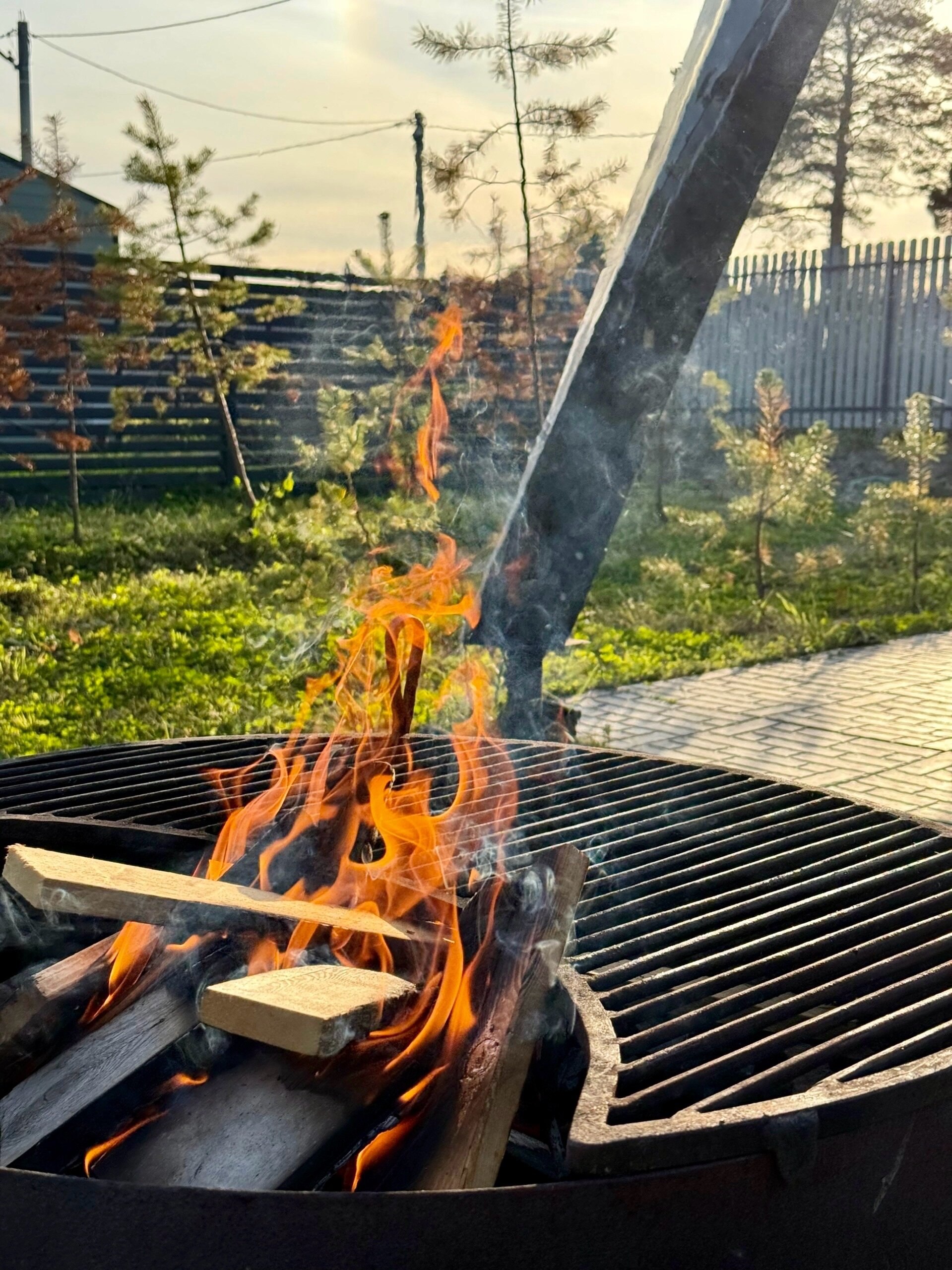 Фото Фоксилэнд