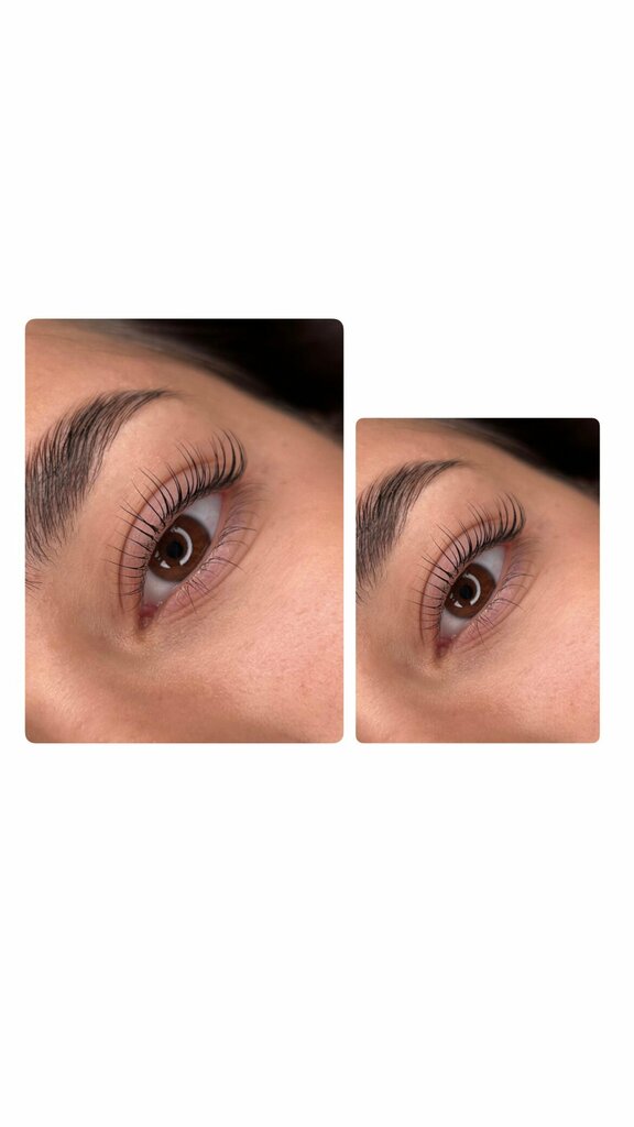 Eyebrow and eyelash salon Solo, Voronezh, photo