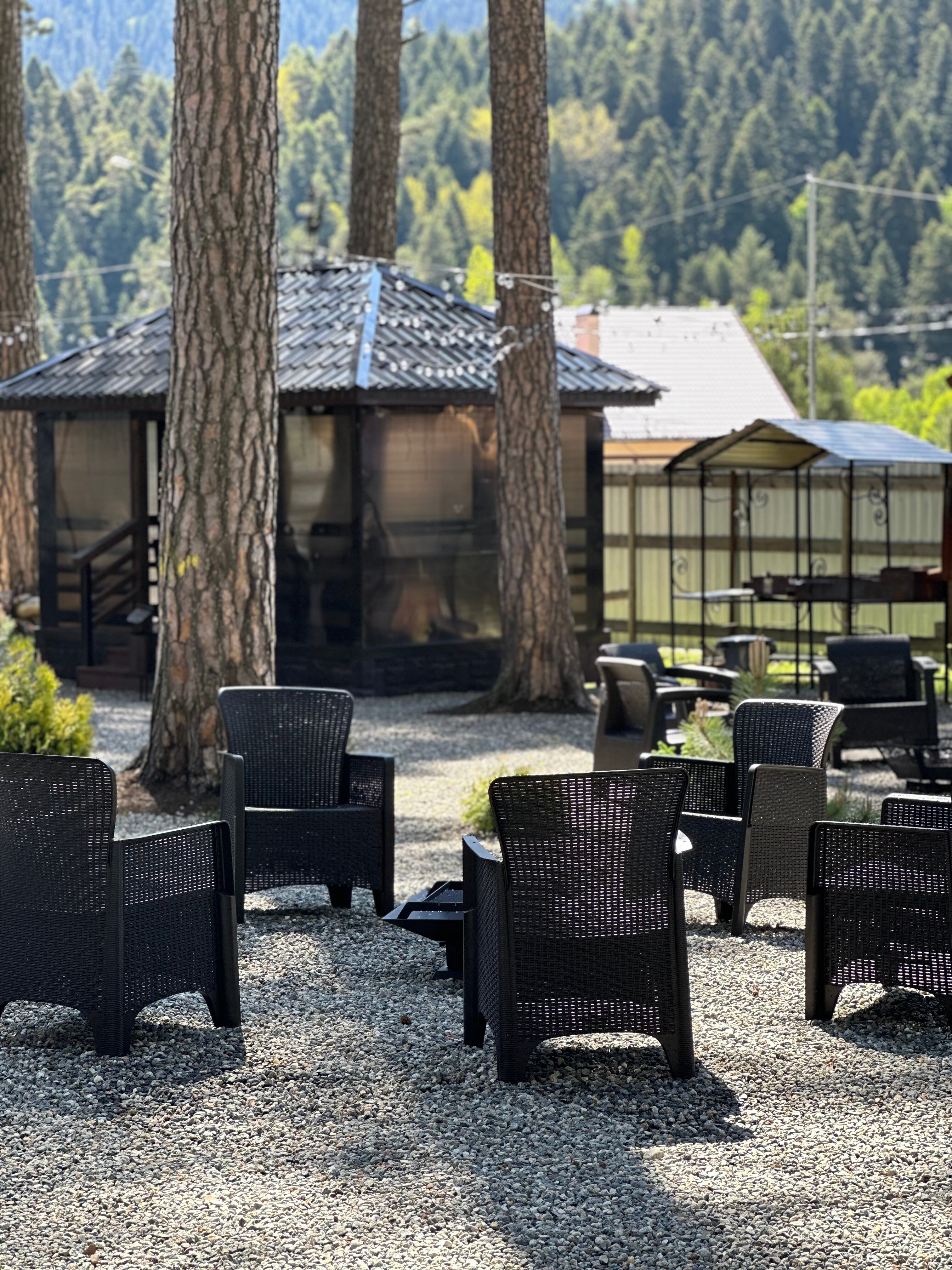 Фото Сосновый бор