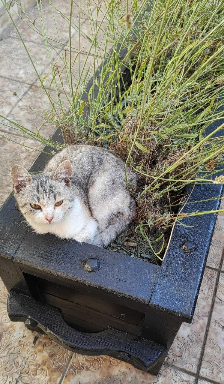 Фото Европа