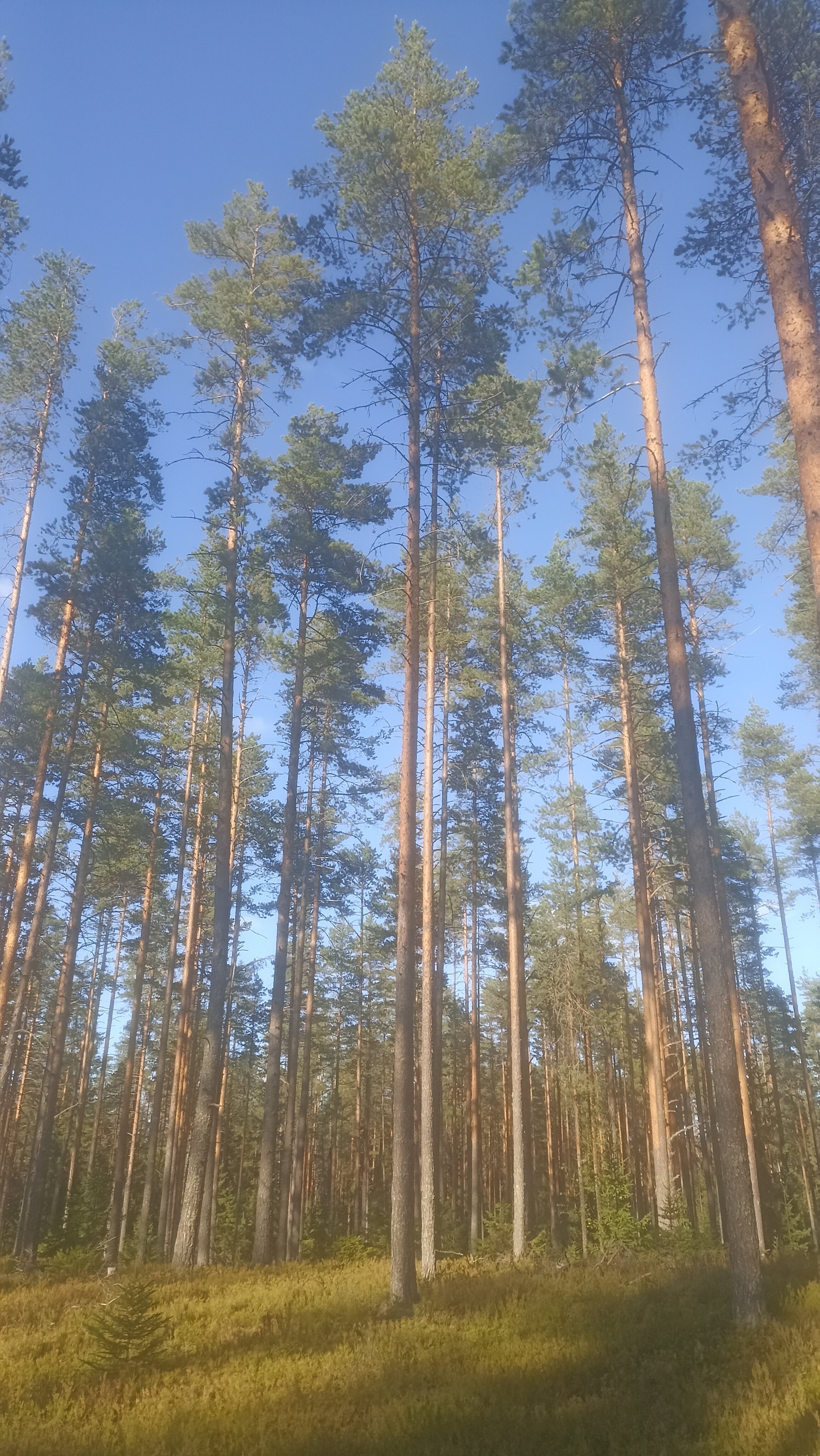 Фото Rantueguest 1