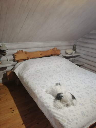 Hotel Гостиница, Mosti, photo