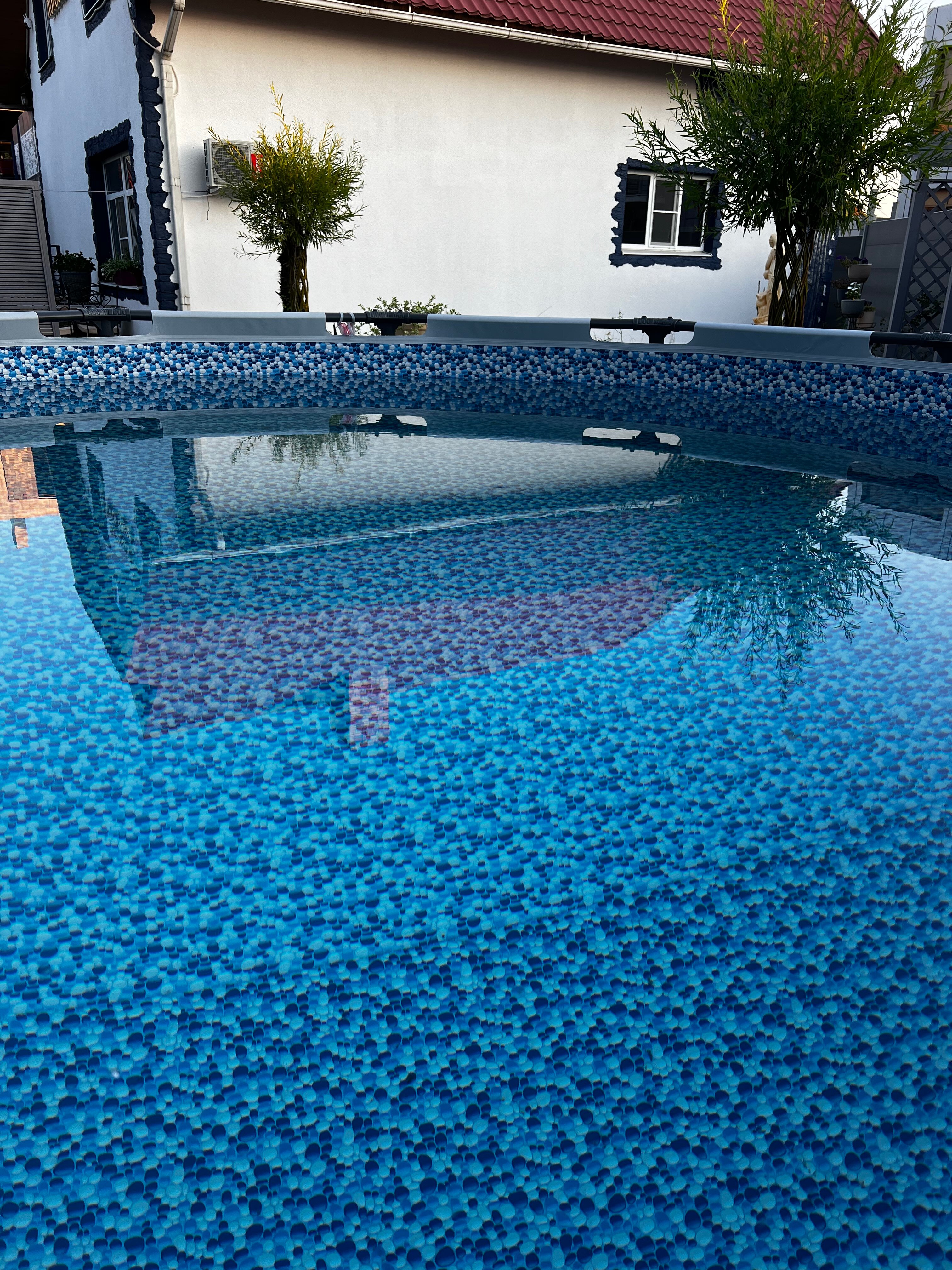 Фото Золотой Поросенок