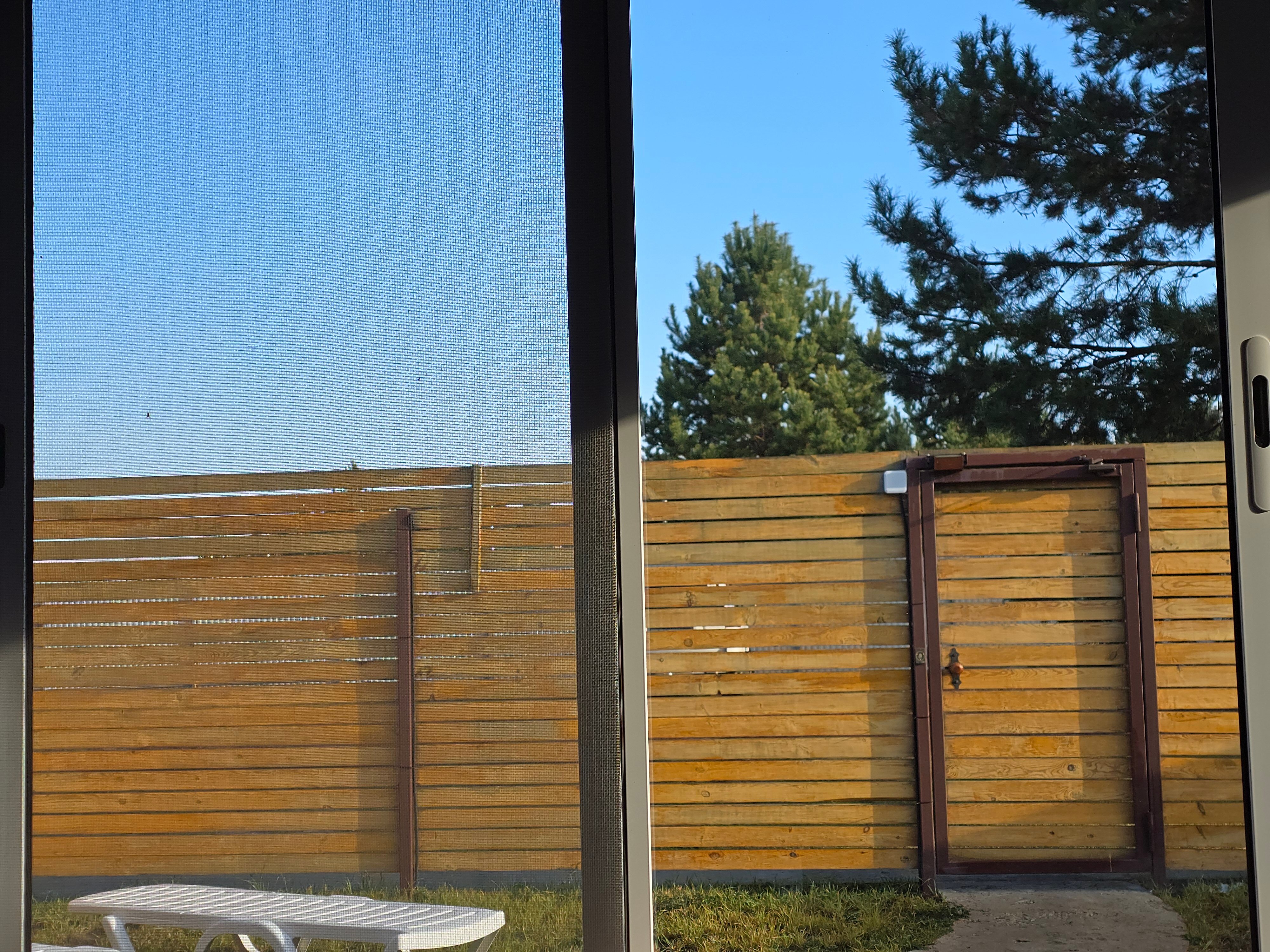 Фото Совушка