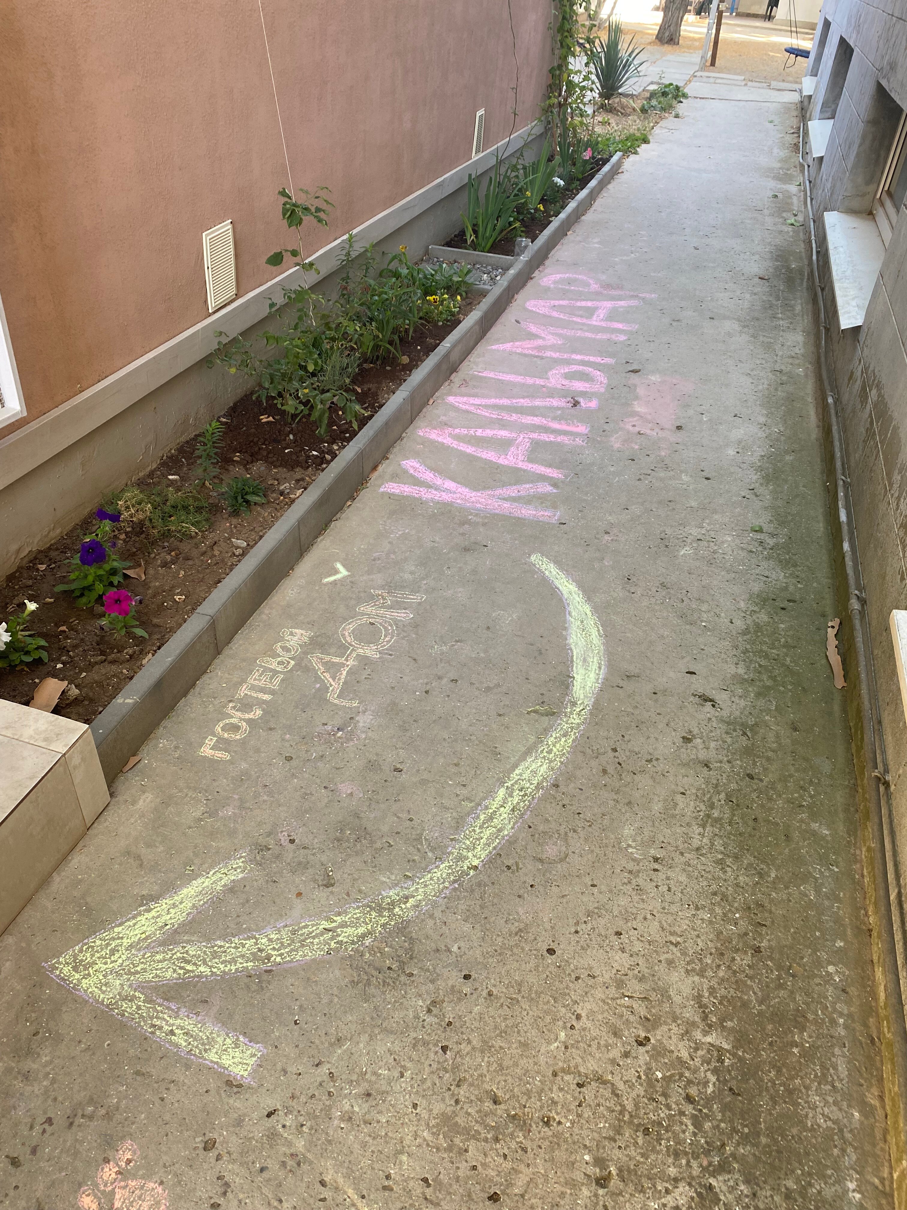 Фото Кальмар