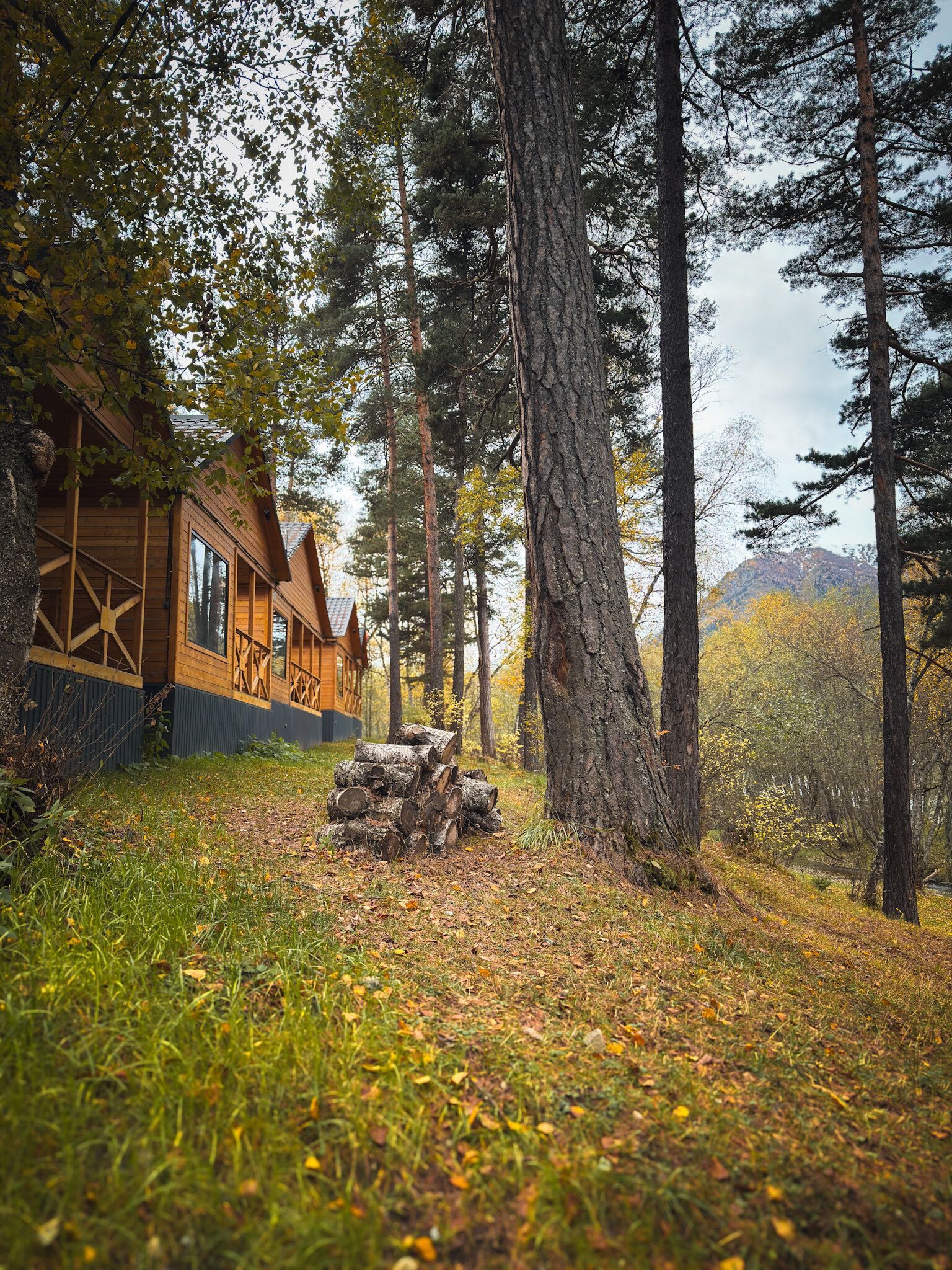 Фото Шале Хвоя