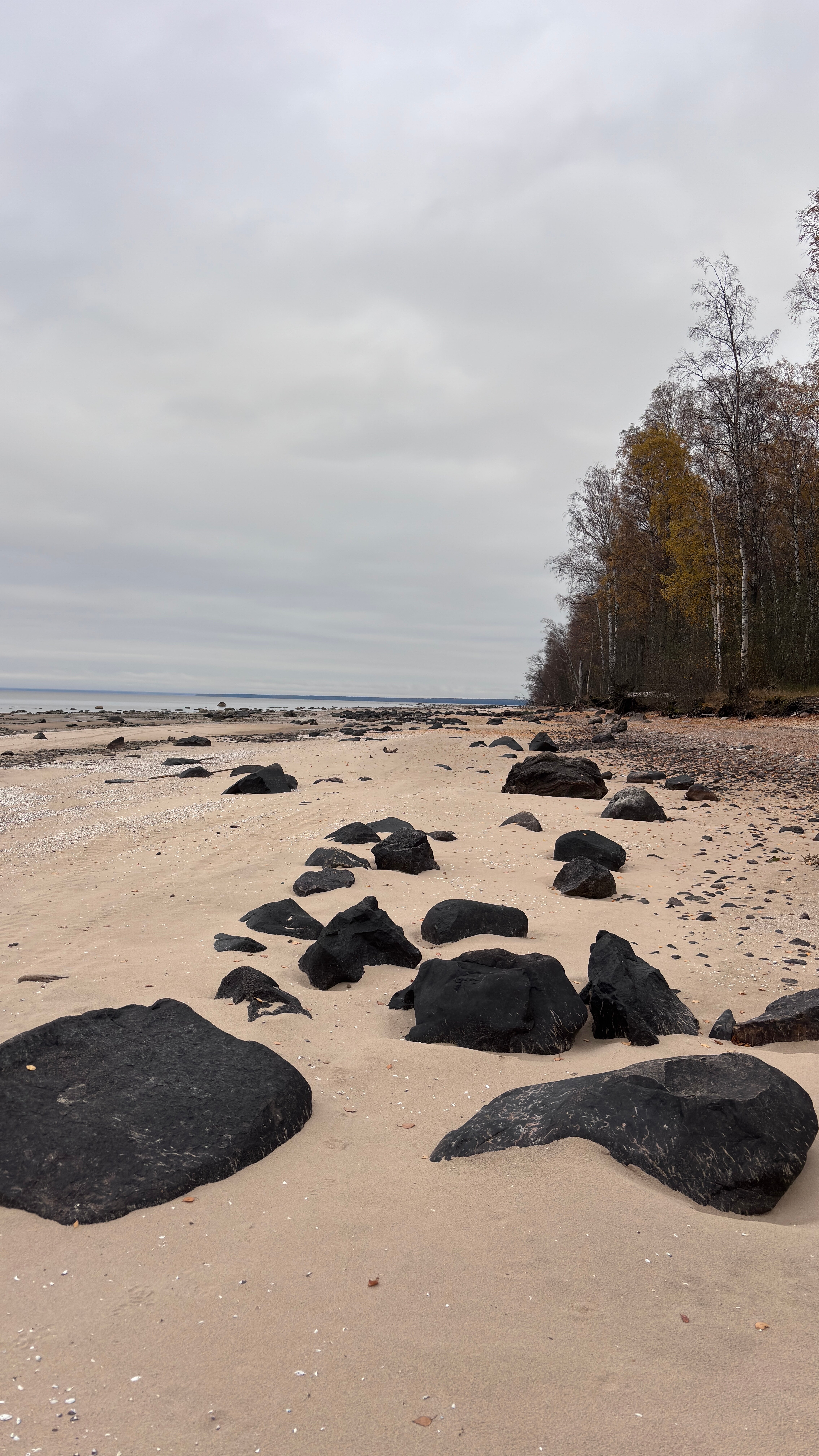 Фото Бухта Морская