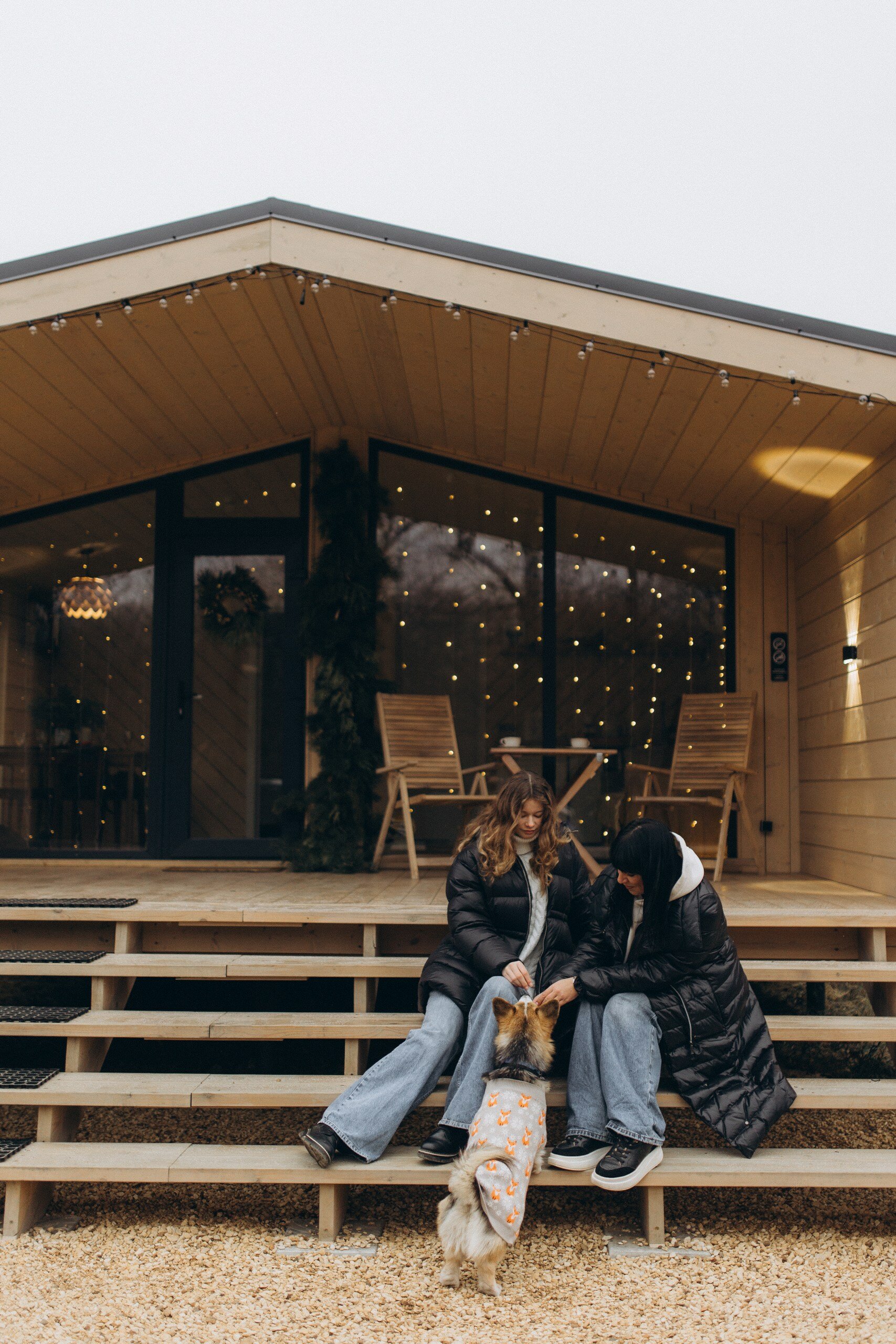 Фото Гуси House