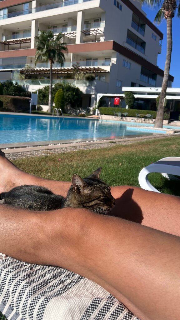 Apartments Babylon Apartment 13, Manavgat, photo