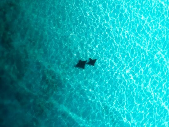 Фото Araamu Hotels Maldives