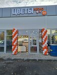 ЦветыЛегко (Voronezh, 206th Strelkovoy Divizii Street, 360), flower shop
