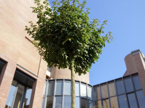 Фото Martin's Brugge