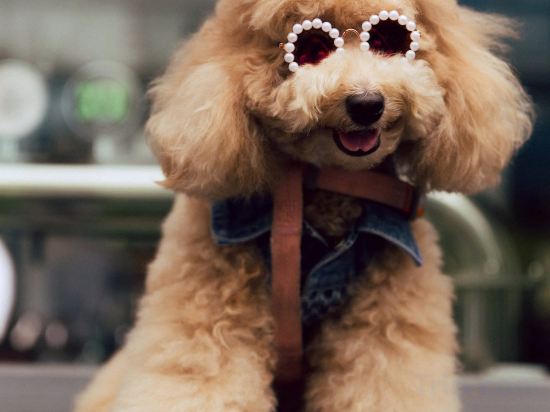 Фото Wink Hotel Saigon Centre